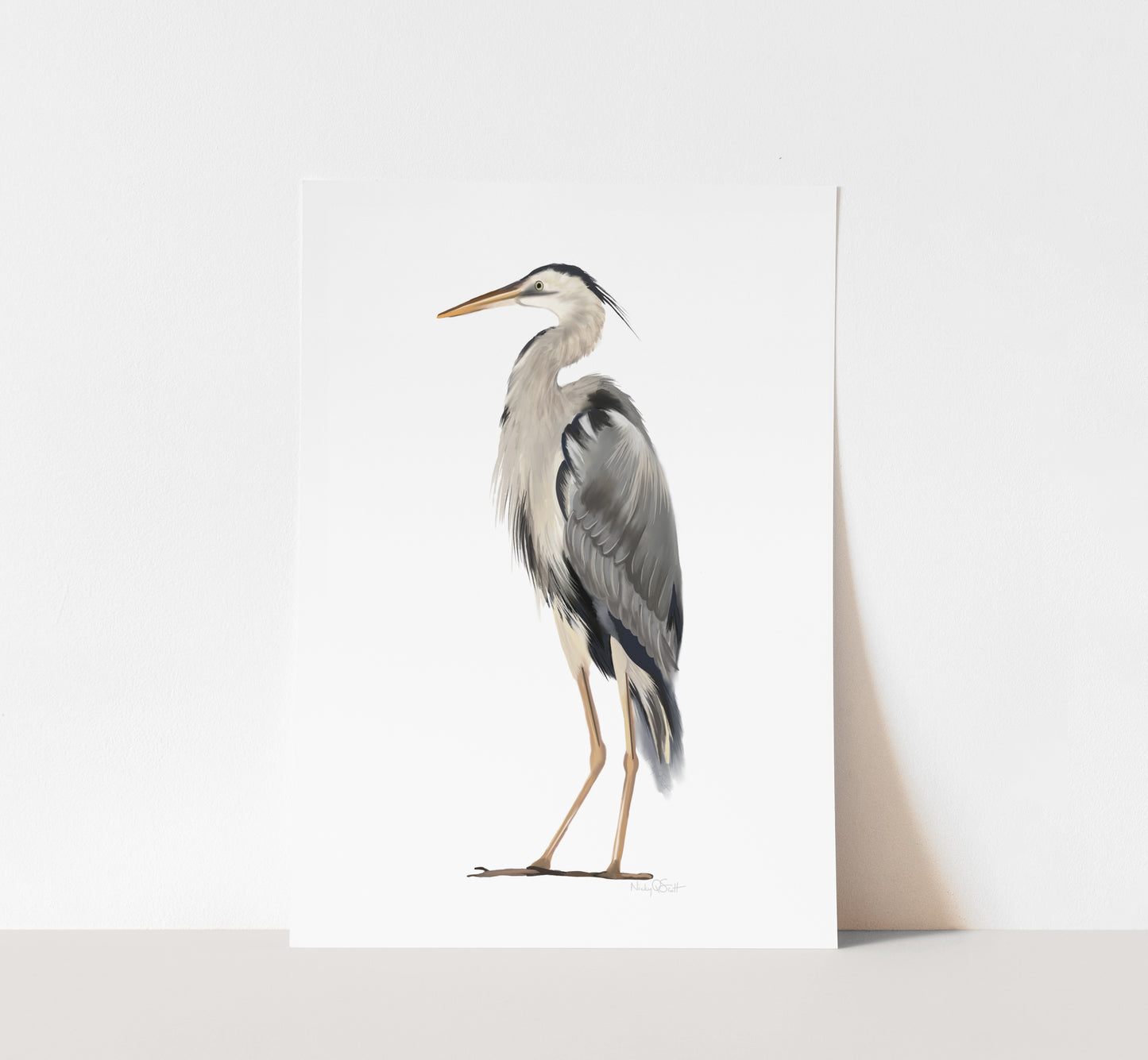 Great Blue Heron Bird Art Print - Studio Q - Art by Nicky Quartermaine Scott