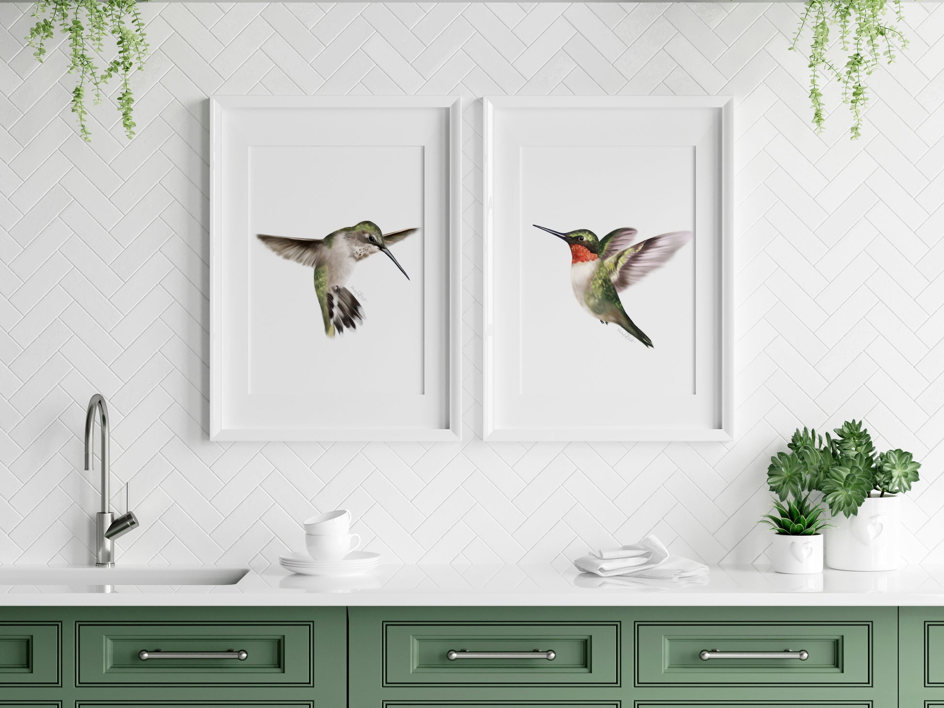 Set of 2 hummingbird art prints on white background in wood frames - Studio Q - Art by Nicky Quartermaine Scott