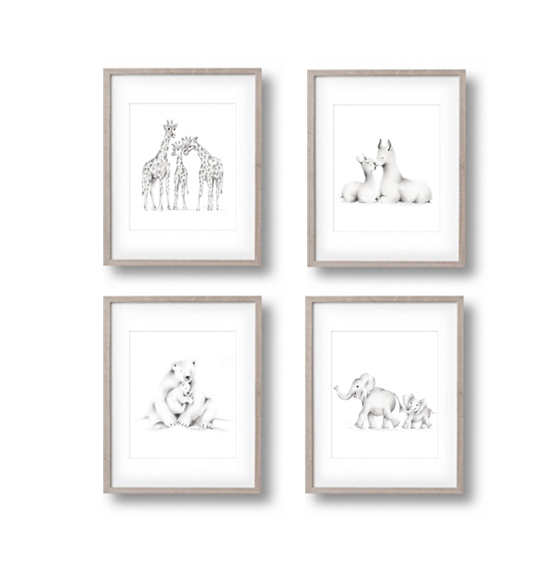 Animal Families Sketch Prints - Set of 4 - Studio Q - Art by Nicky Quartermaine ScottSet of 4 animal family prints drawn in pencil grey, featuring a mother and baby elephant, polar bears, llamas and giraffes. Prints are shown in wood frames on a white background - Studio Q - Art by Nicky Quartermaine Scott