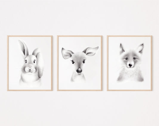 Baby Animal Sketch Prints - Set of 3 - Studio Q - Art by Nicky Quartermaine Scott