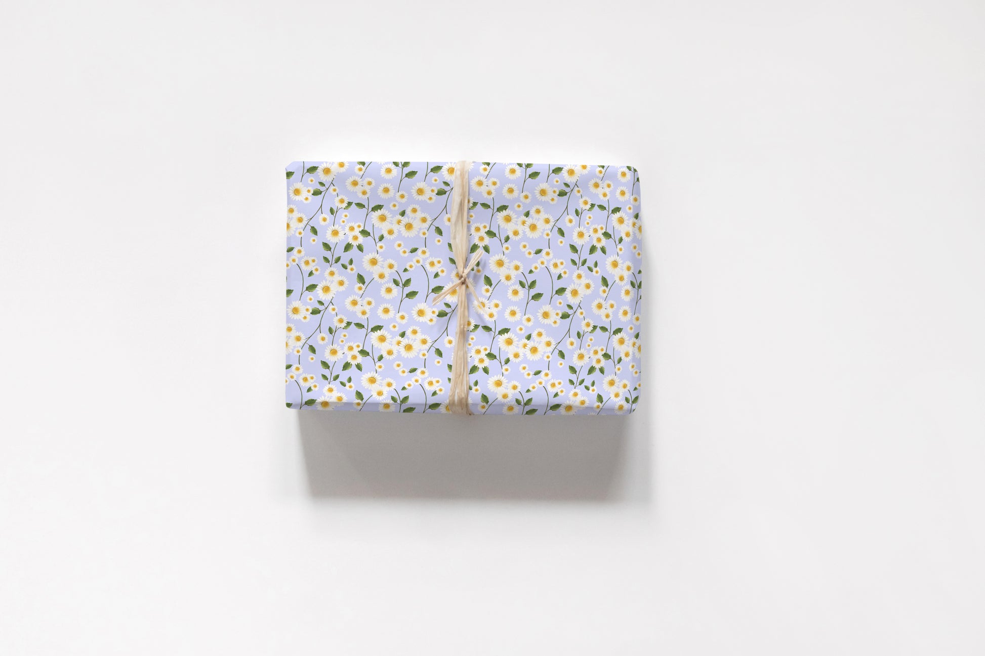 Daisy Blue Wrapping Paper- Studio Q - Art by Nicky Quartermaine Scott