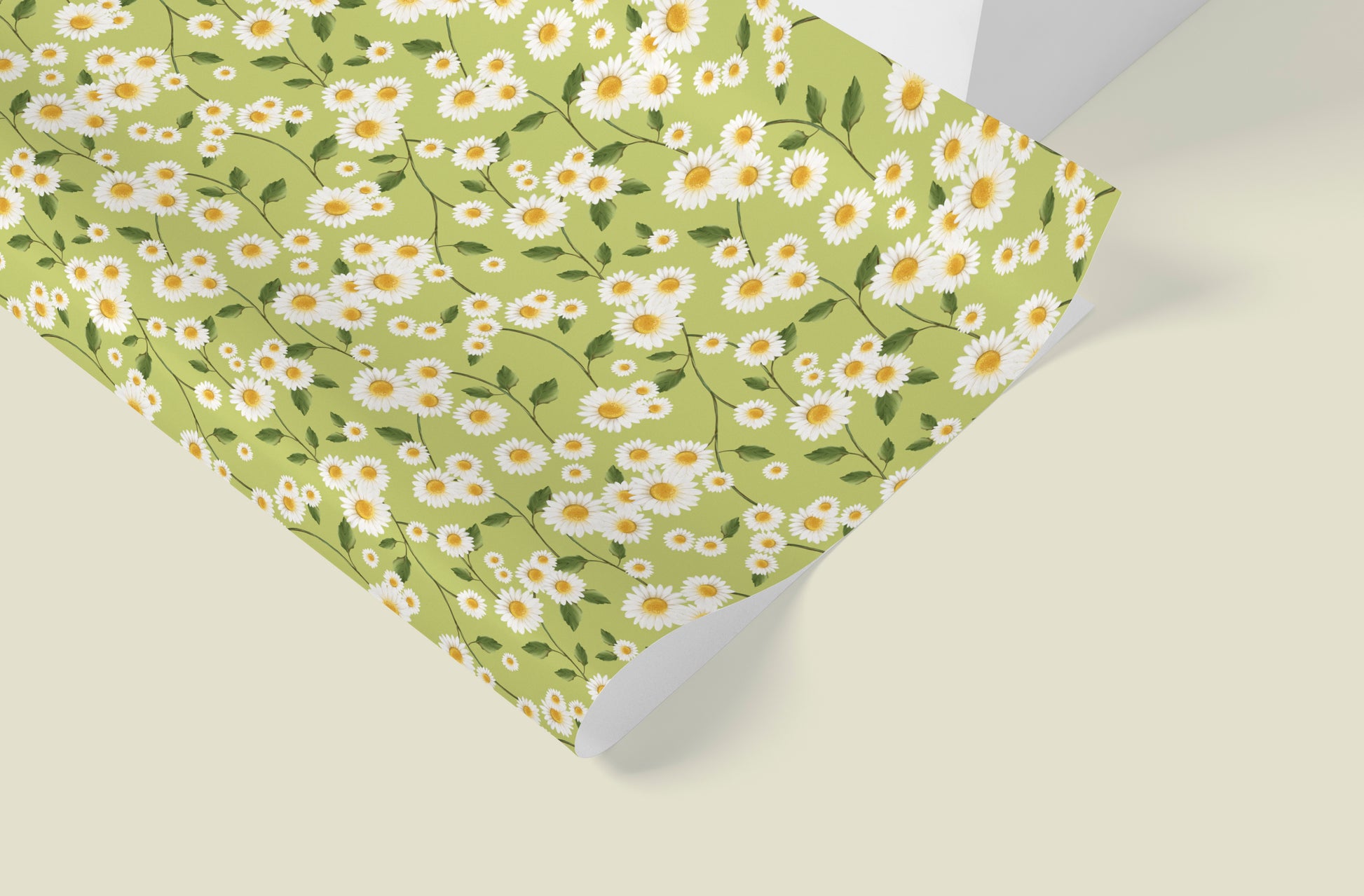 Daisy Flowers in Green Wrapping Paper- Studio Q - Art by Nicky Quartermaine Scott
