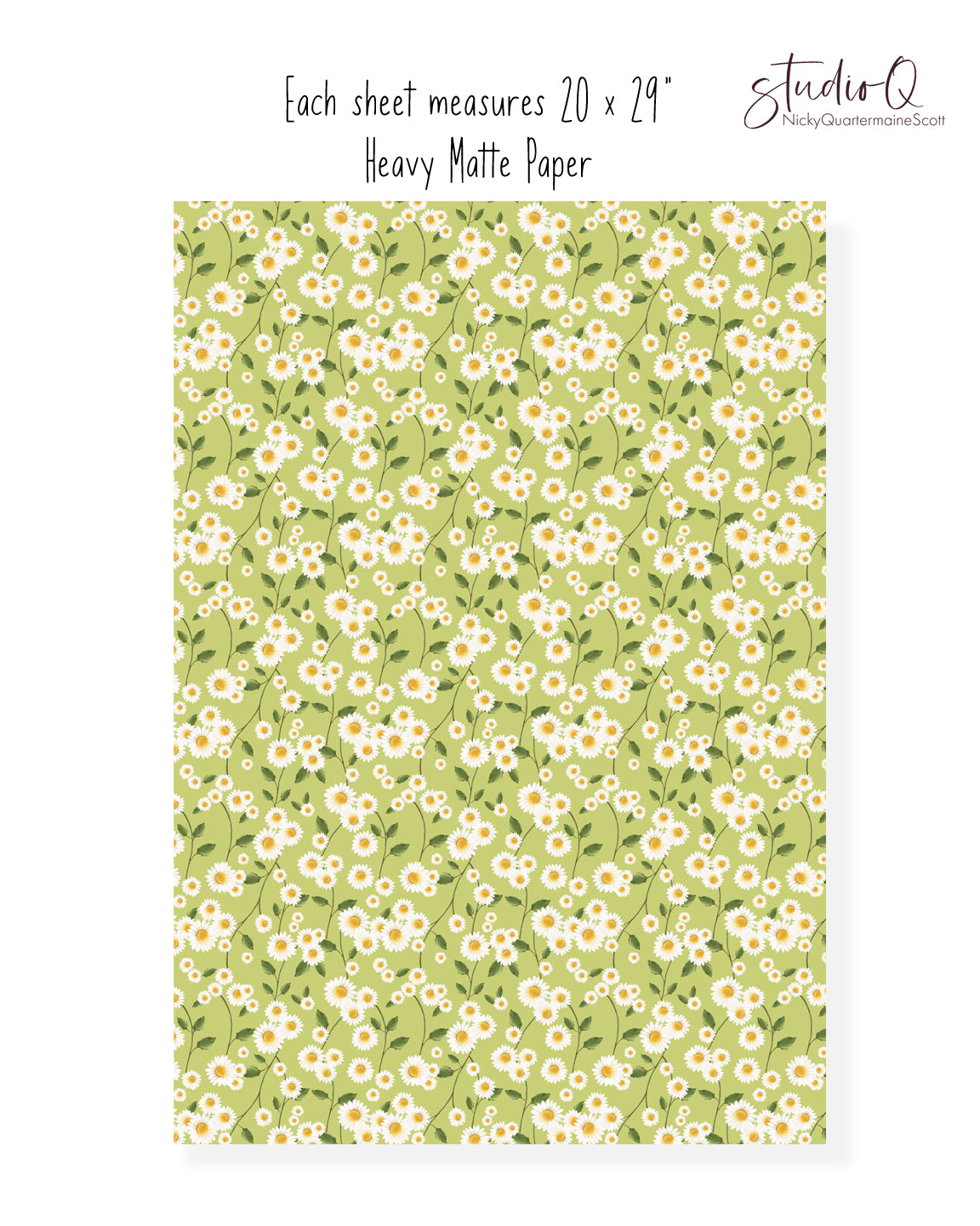 Daisy Flowers in Green Wrapping Paper- Studio Q - Art by Nicky Quartermaine Scott