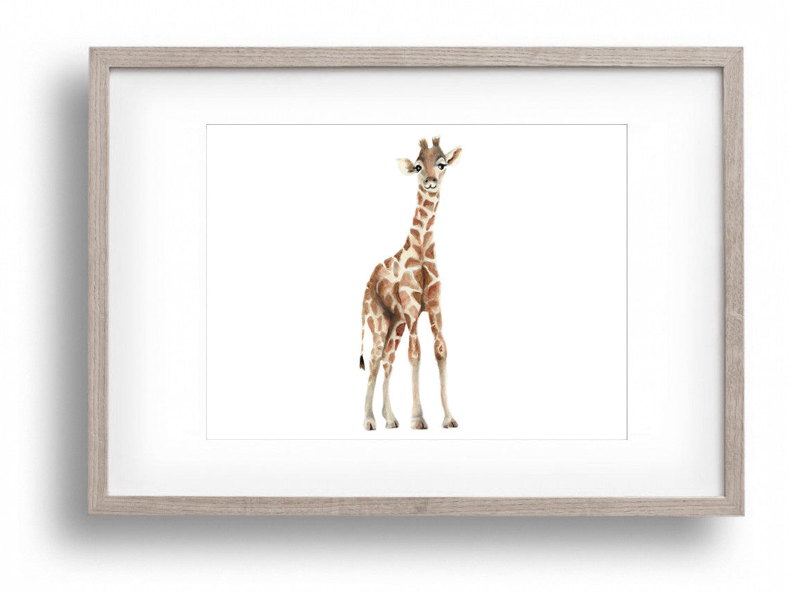 Giraffe Nursery Art Print - Studio Q - Art by Nicky Quartermaine Scott