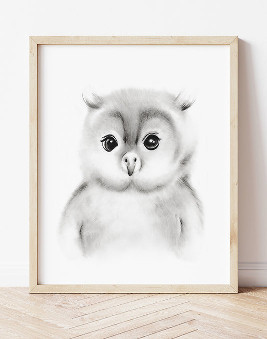 Baby Owl Sketch Fluffy Face Print - Studio Q - Art by Nicky Quartermaine Scott