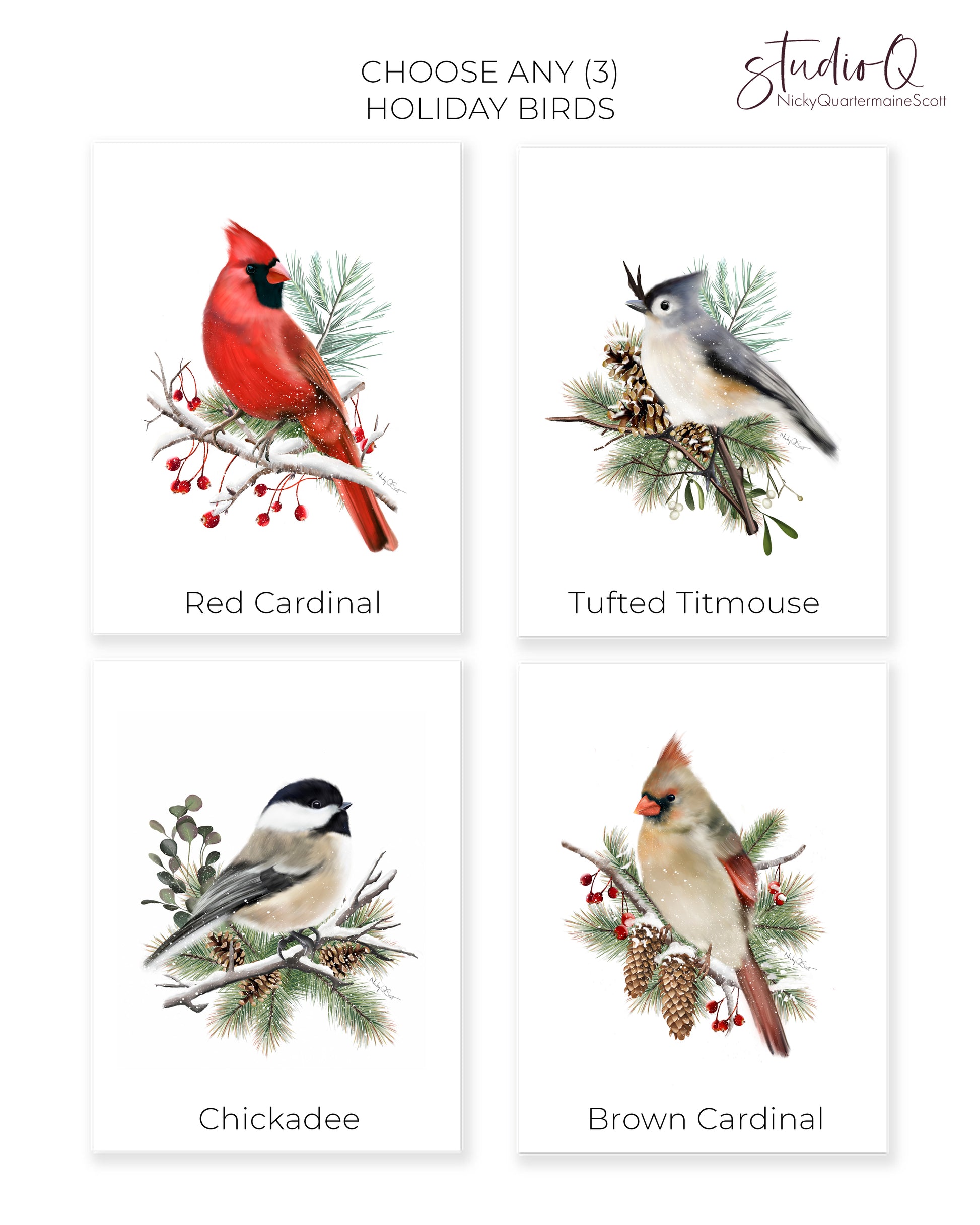 Christmas Bird Art Prints - Set of 3- Studio Q - Art by Nicky Quartermaine Scott