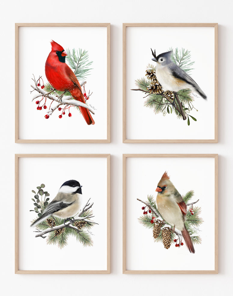 Christmas Bird Art Prints - Set of 4 - Studio Q - Art by Nicky Quartermaine Scott