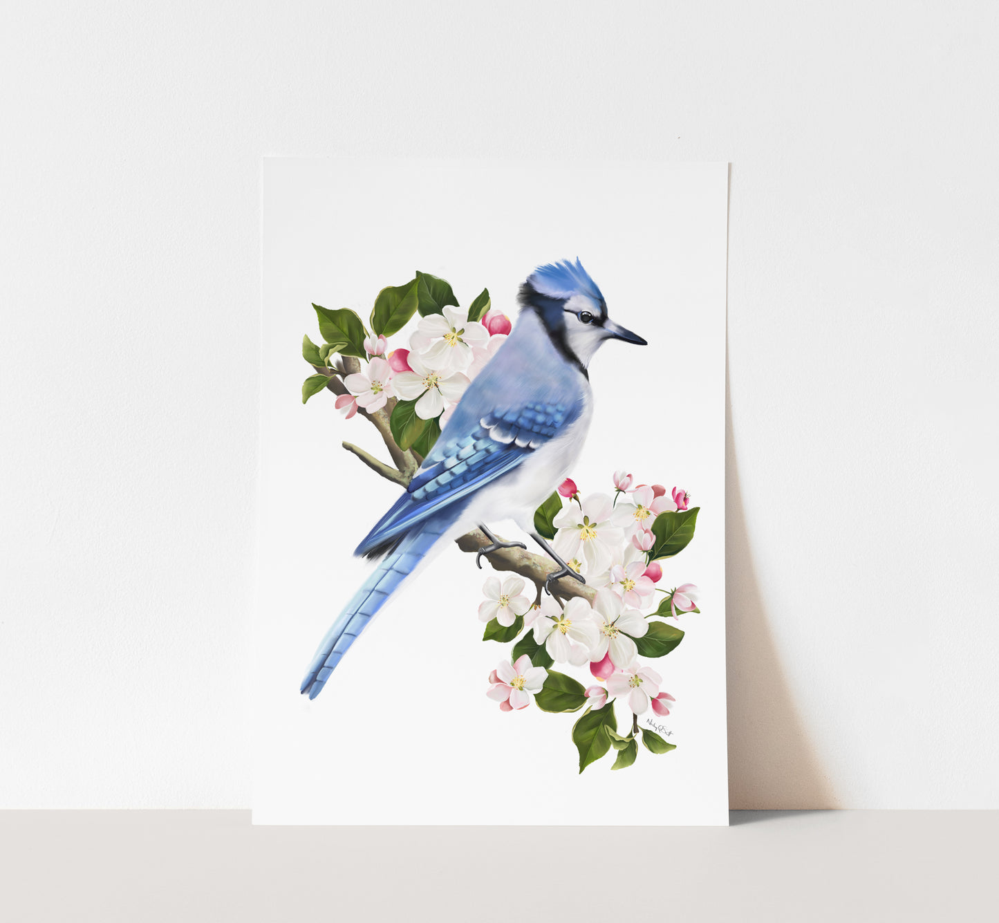 Blue Jay Bird on Apple Blossom Branch Art Print