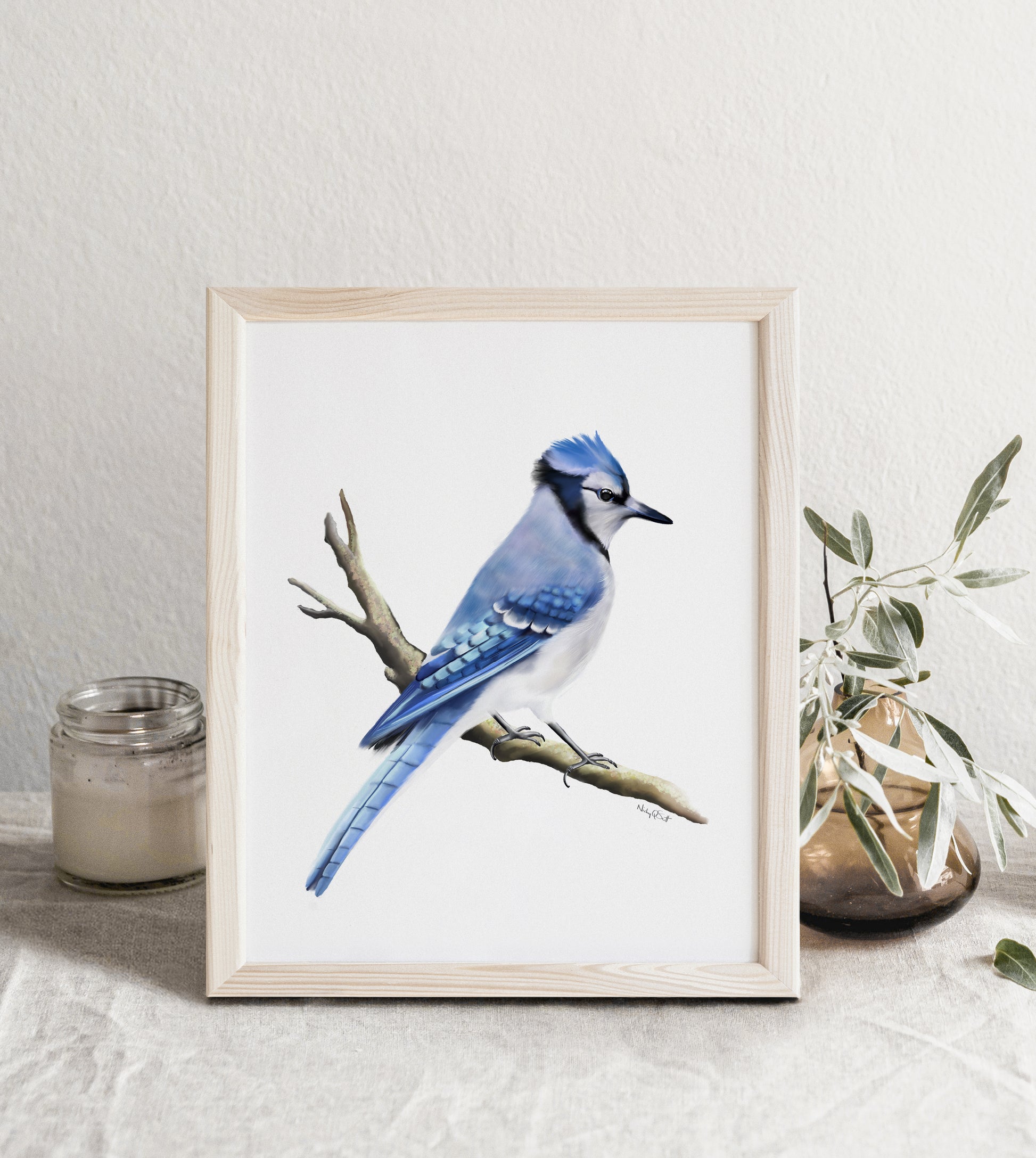 Blue Jay Bird on Branch Art Print - Studio Q - Art by Nicky Quartermaine Scott