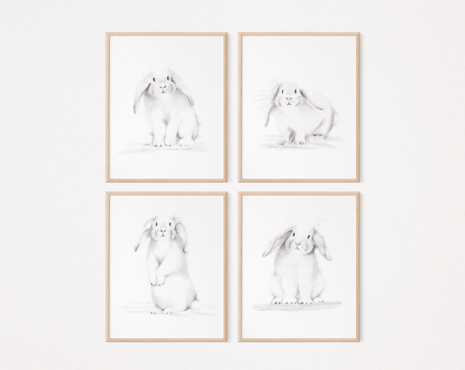 Set of 4 bunny sketch prints on white background - Studio Q - Art by Nicky Quartermaine Scott