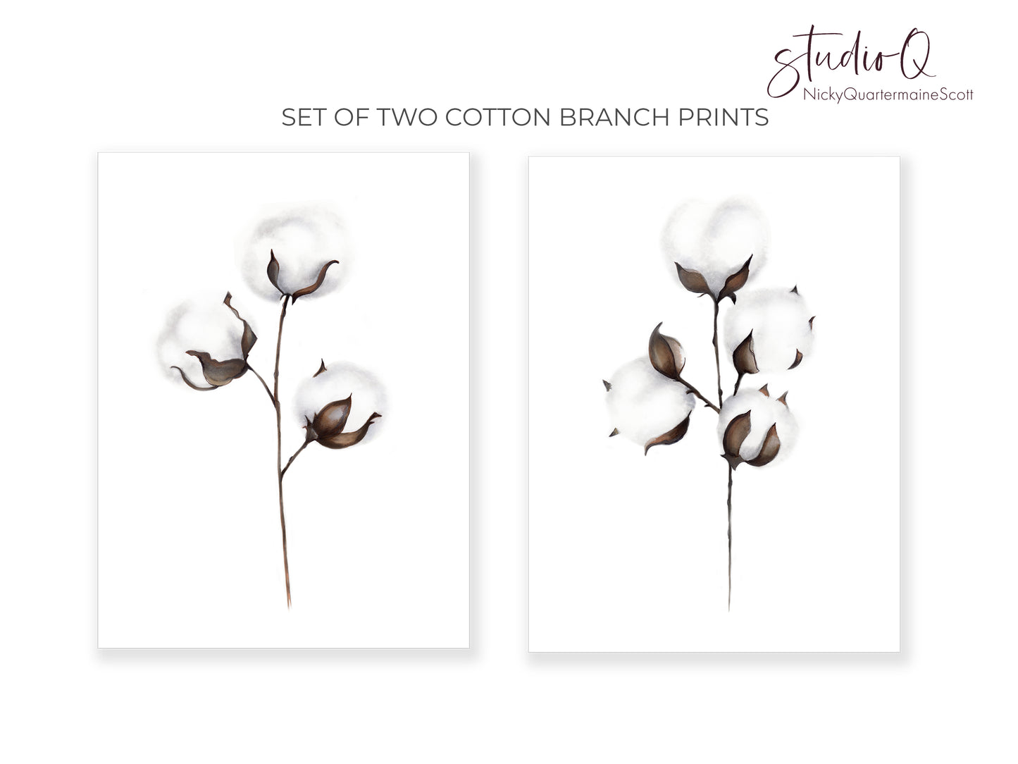 Cotton Branch Prints - Set of 2 - Studio Q - Art by Nicky Quartermaine Scott