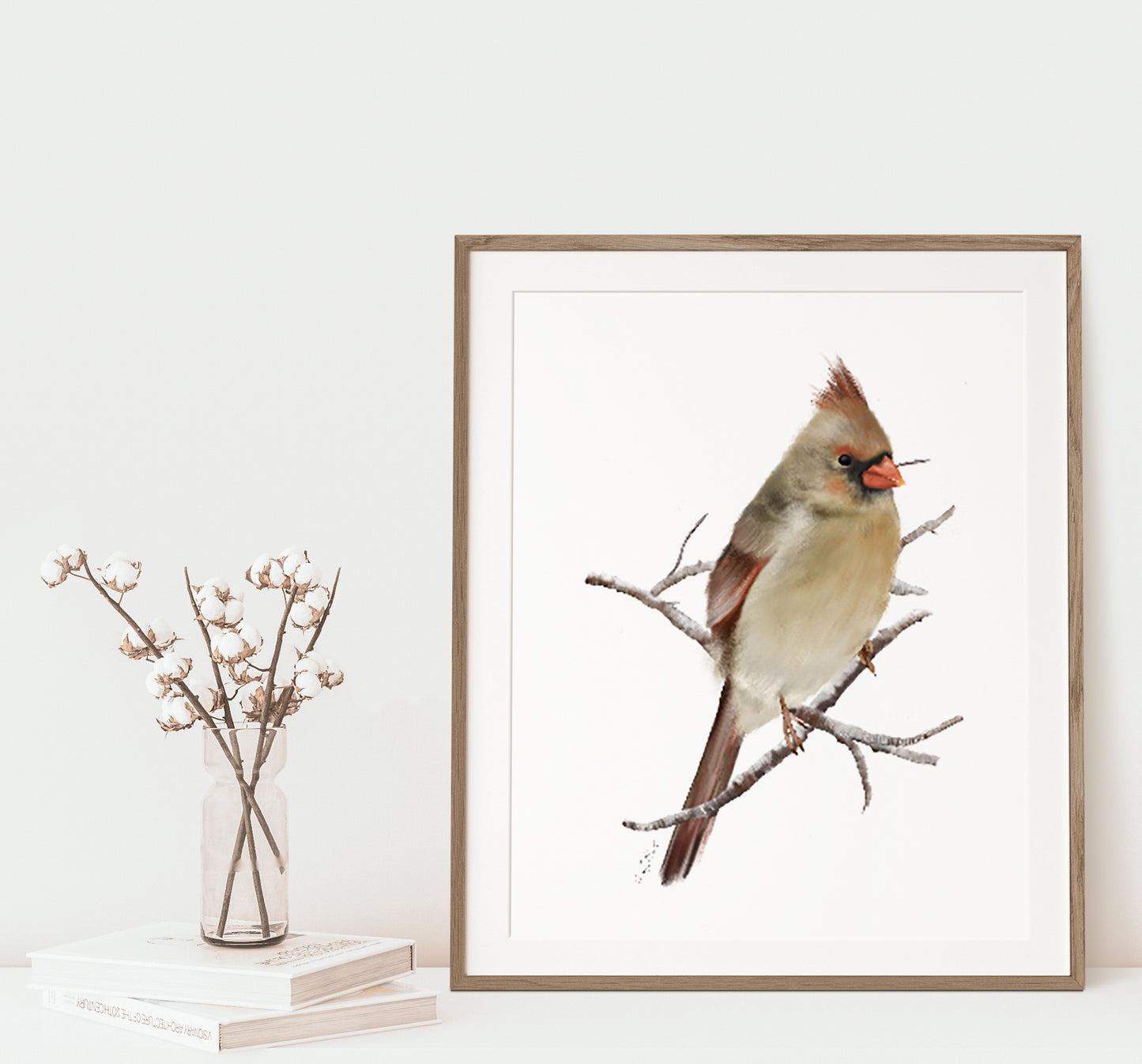Cardinal Bird Art Print 2- Studio Q - Art by Nicky Quartermaine Scott
