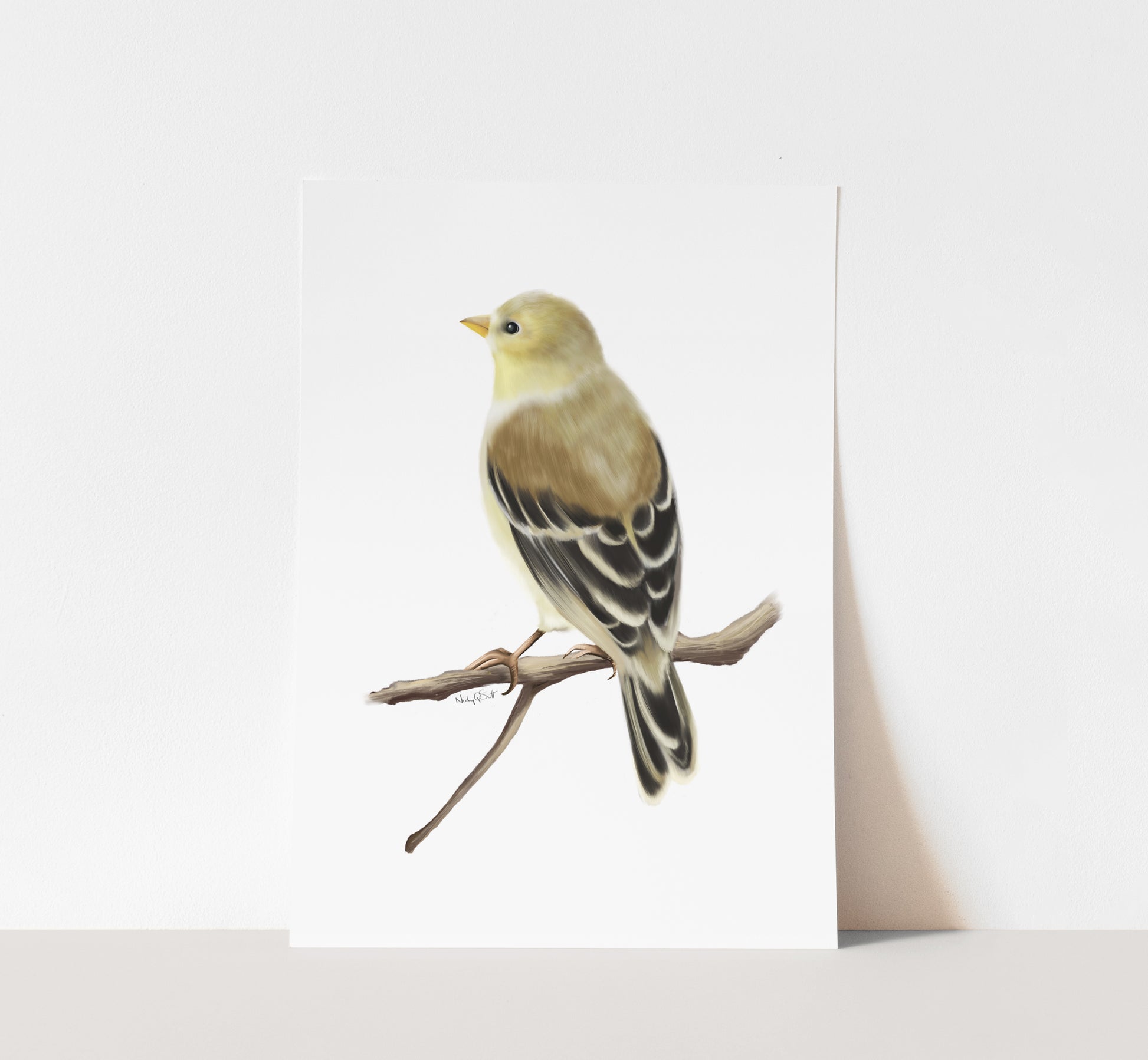 American Goldfinch Bird Art Print- Studio Q - Art by Nicky Quartermaine Scott