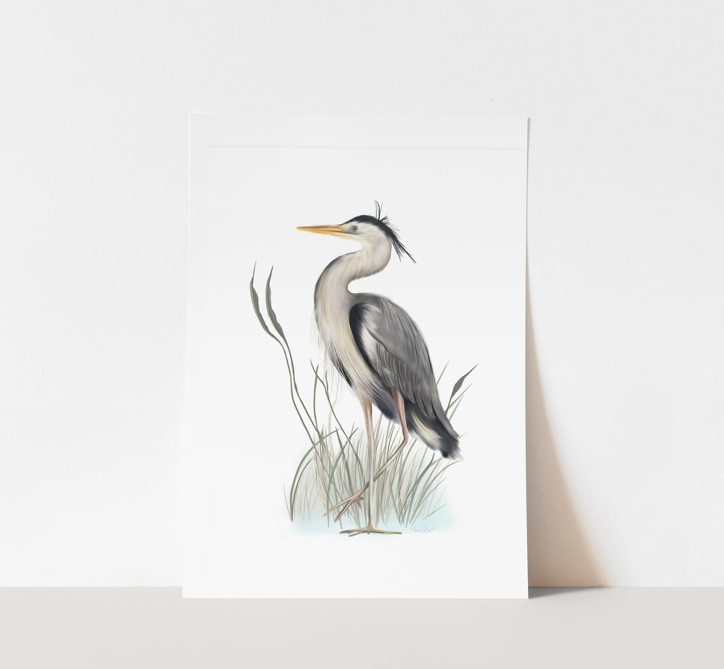 Great Blue Heron in Grasses Bird Art Print - Studio Q - Art by Nicky Quartermaine Scott