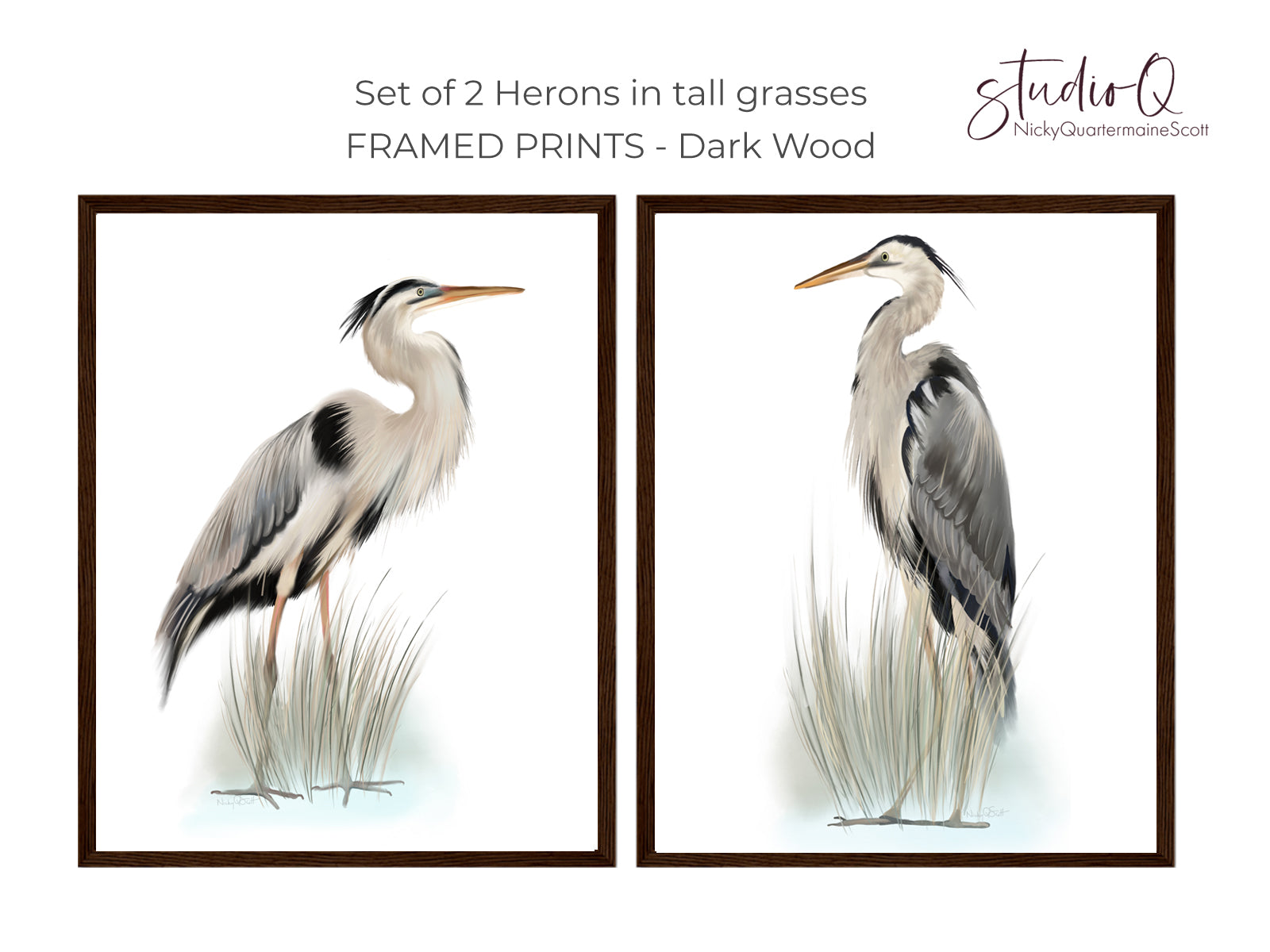 Blue Heron Bird Art Prints - Set of 2 - Studio Q - Art by Nicky Quartermaine Scott