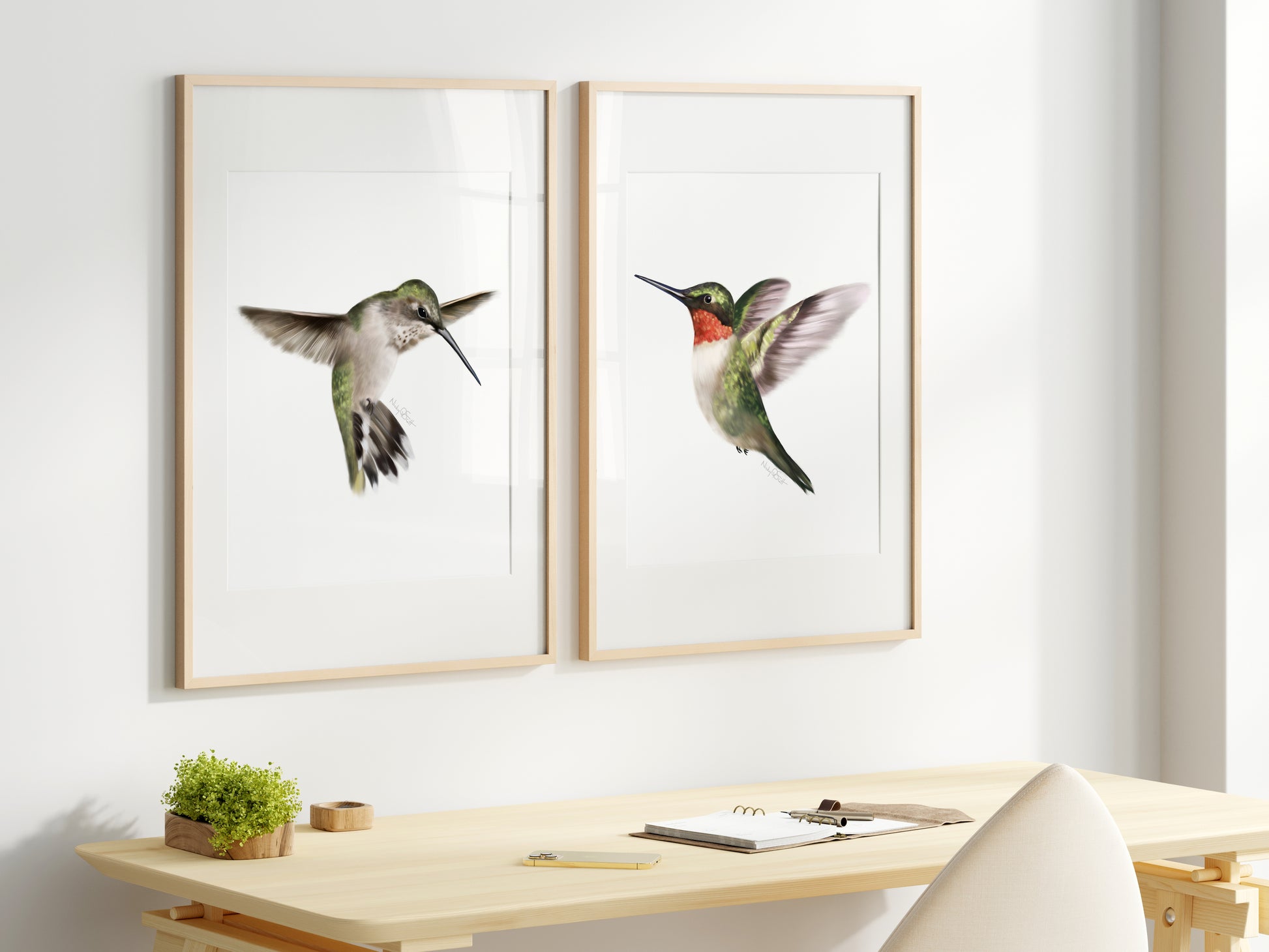 Set of 2 hummingbird art prints on white background in wood frames - Studio Q - Art by Nicky Quartermaine Scott