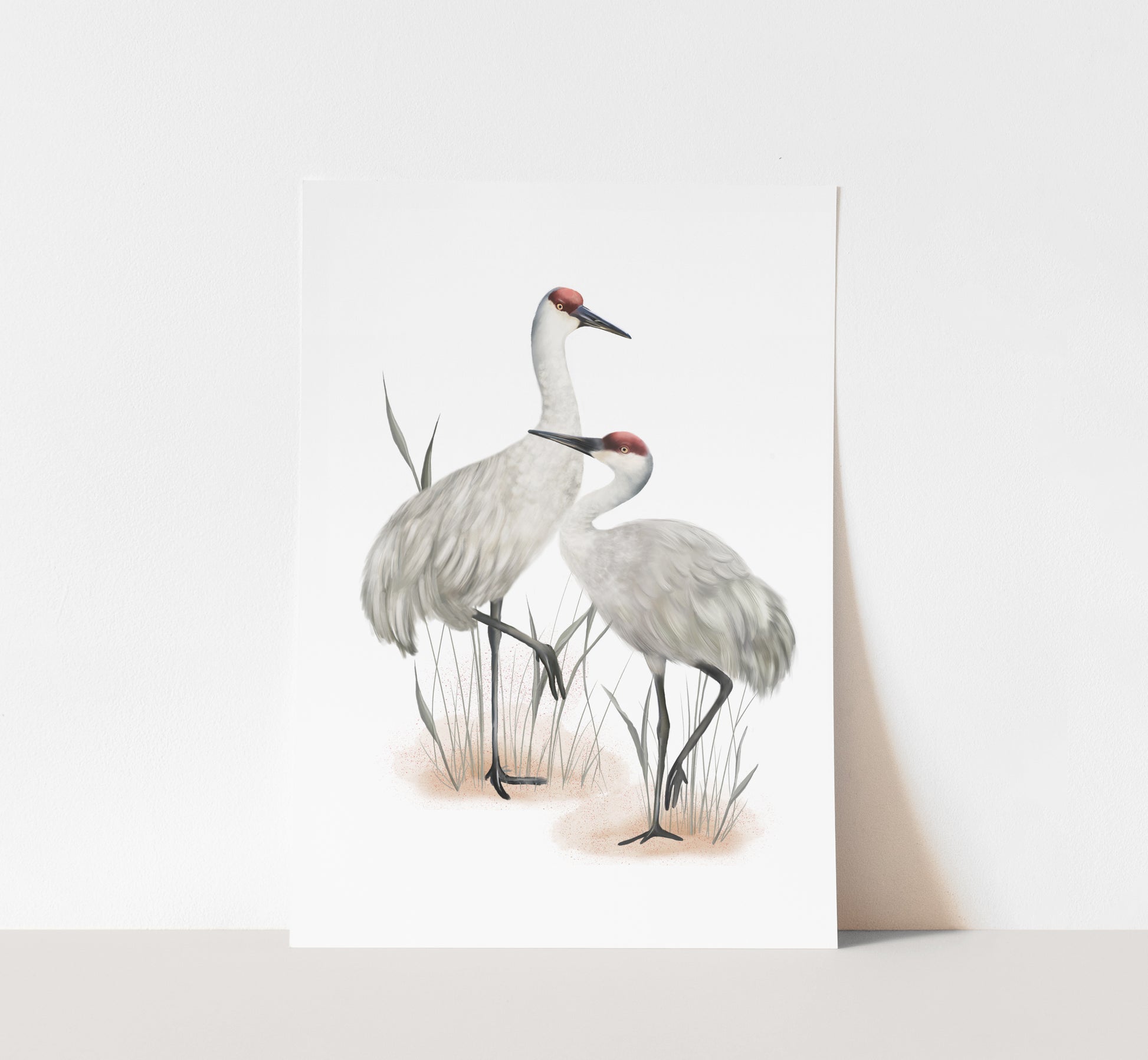 Sandhill Cranes Bird Art Print- Studio Q - Art by Nicky Quartermaine Scott