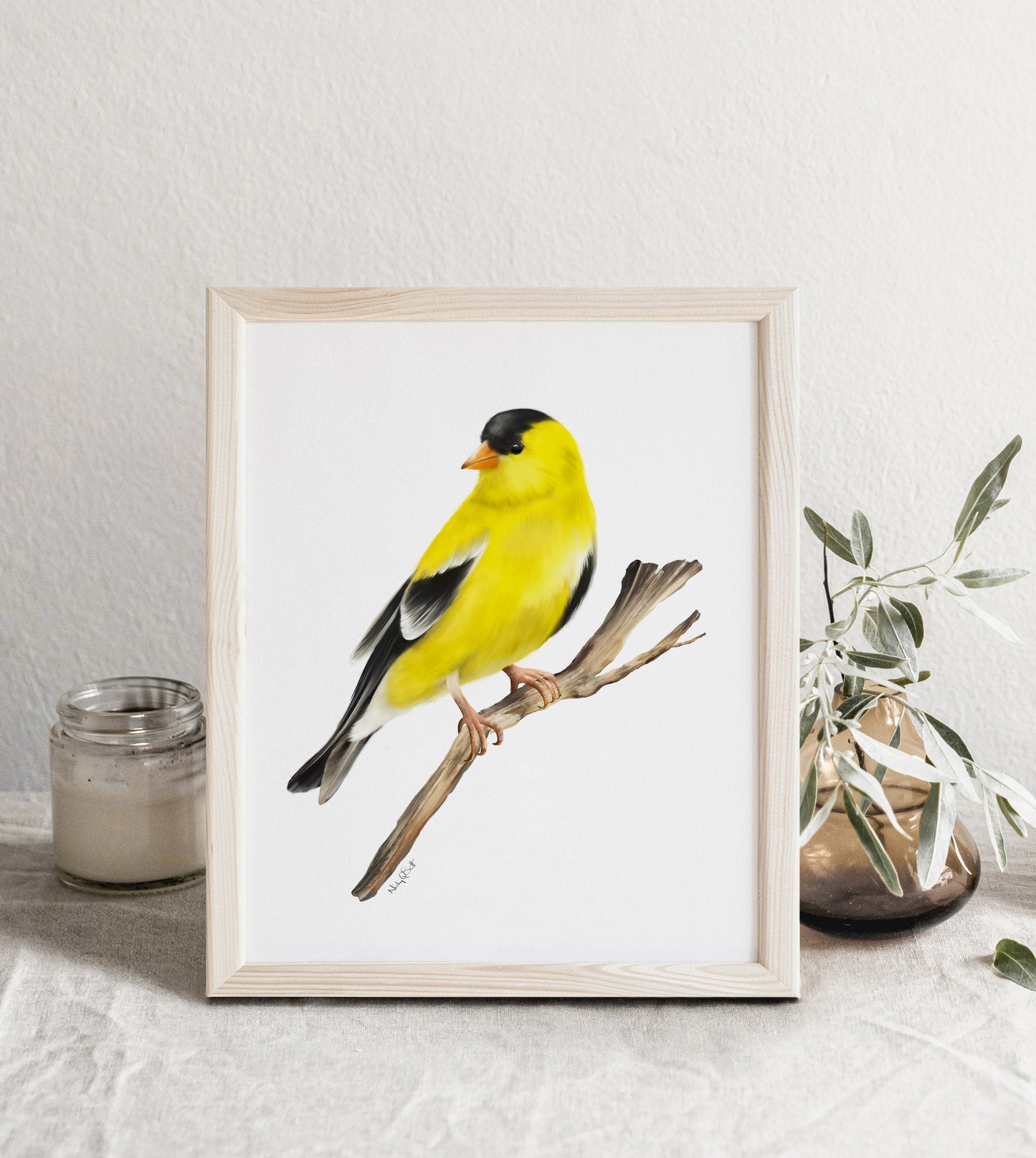 American Goldfinch Bird Art Print - Studio Q - Art by Nicky Quartermaine Scott