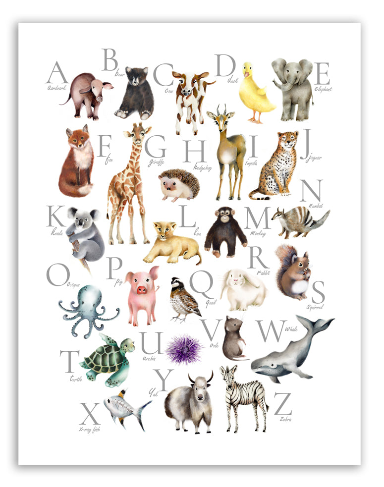 Animal Alphabet Print- Studio Q - Art by Nicky Quartermaine Scott