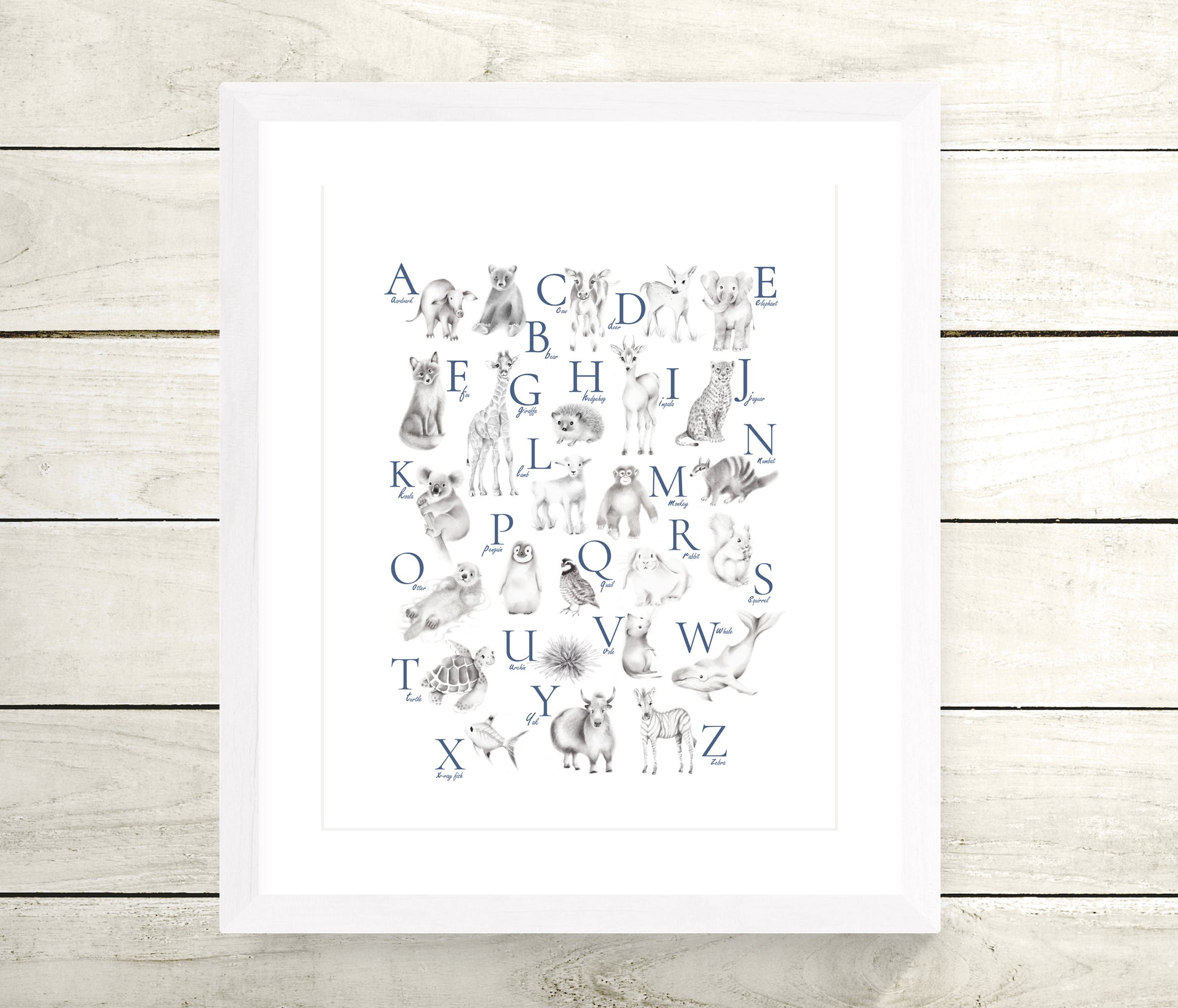 Animal Alphabet Print - Custom Letter Color - Studio Q - Art by Nicky Quartermaine Scott