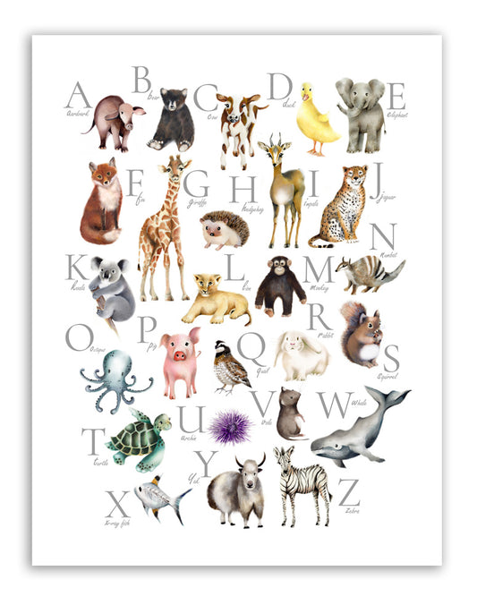 Animal Alphabet Print - Studio Q - Art by Nicky Quartermaine Scott