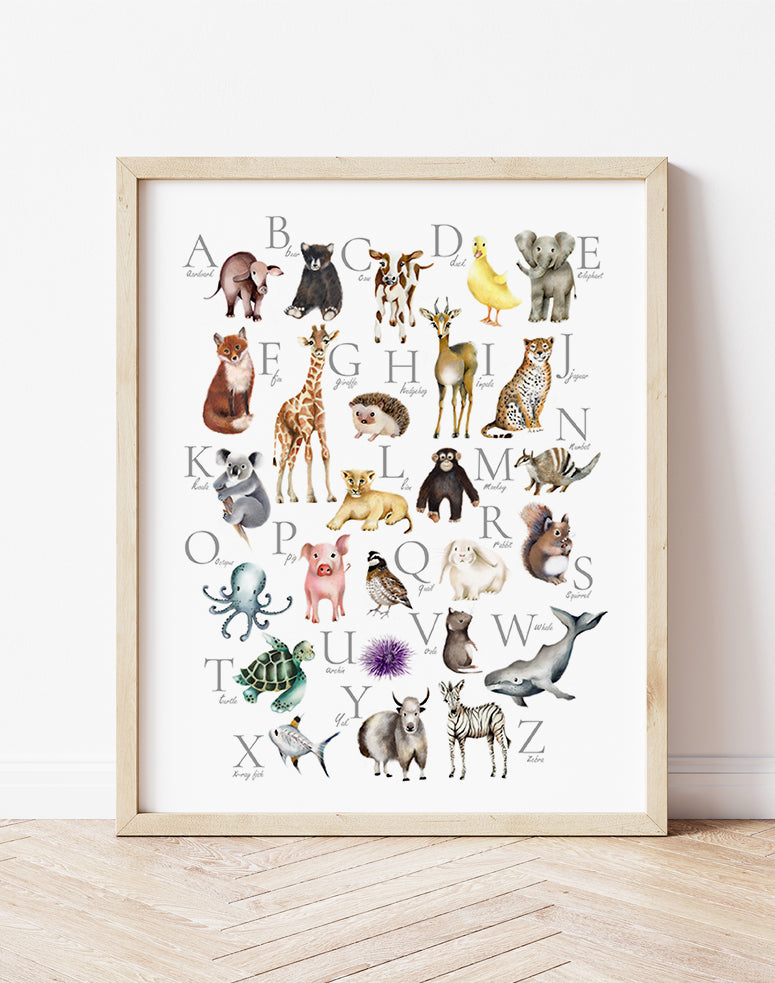 Animal Alphabet Print- Studio Q - Art by Nicky Quartermaine Scott