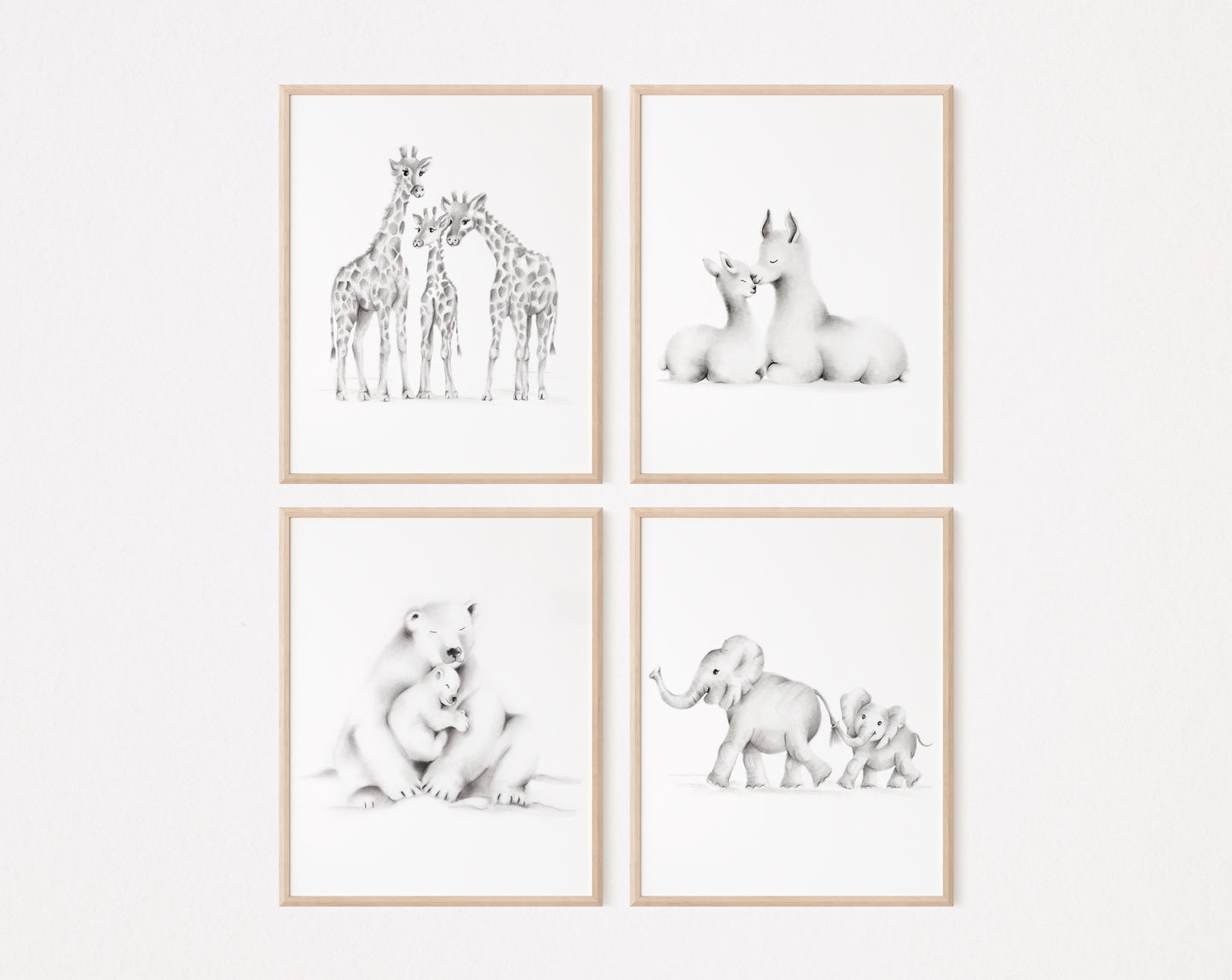 Set of 4 baby animal family drawings for a baby's nursery. The images include a giraffe family and a mother and baby llama, polar bear and elephants. Prints are shown in wood frames hanging on a plain white background wall - Studio Q - Art by Nicky Quartermaine Scott