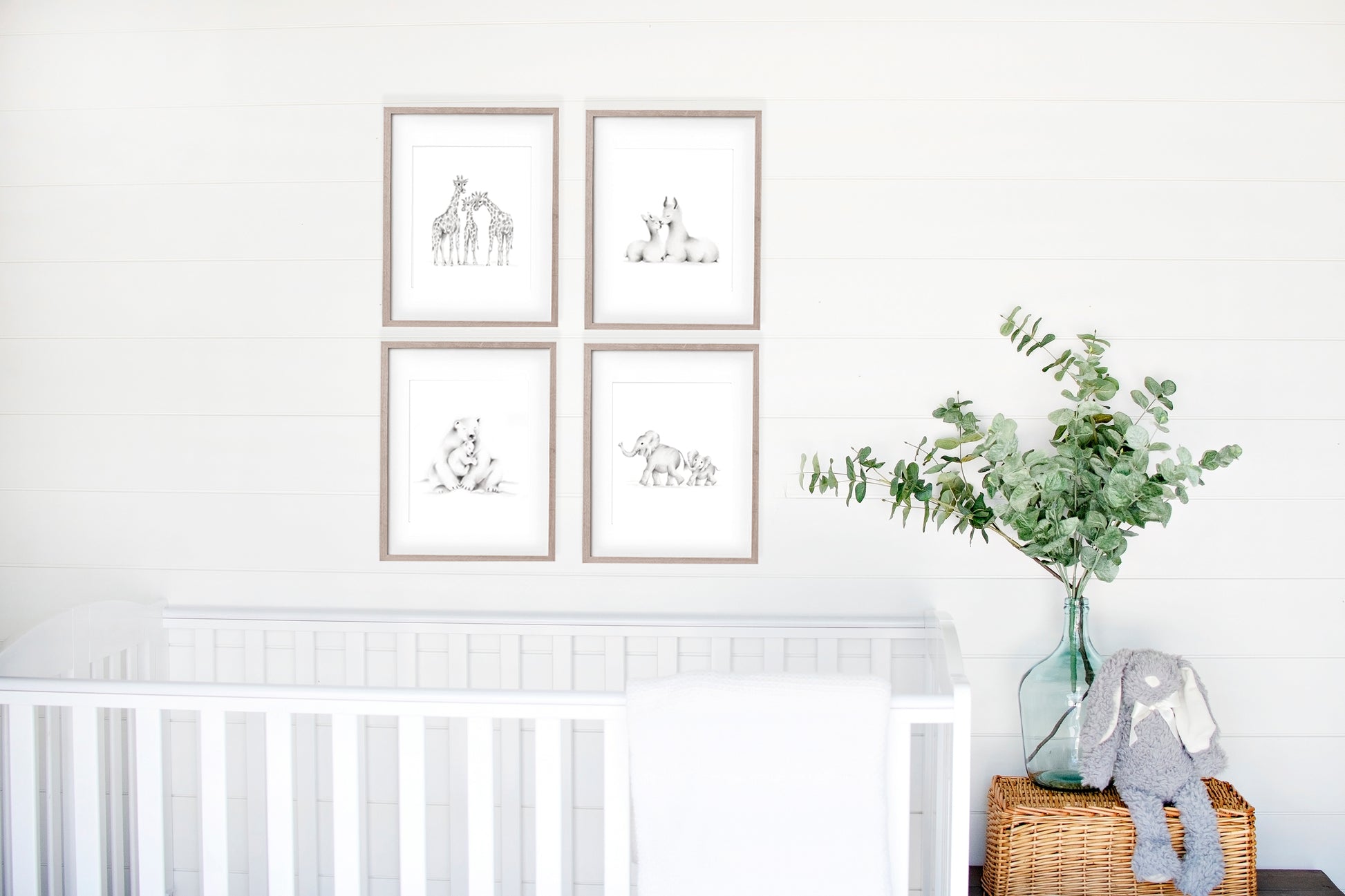 Set of 4 animal family sketch art prints for a nursery. Prints are in wood frames hanging above a white crib - Studio Q - Art by Nicky