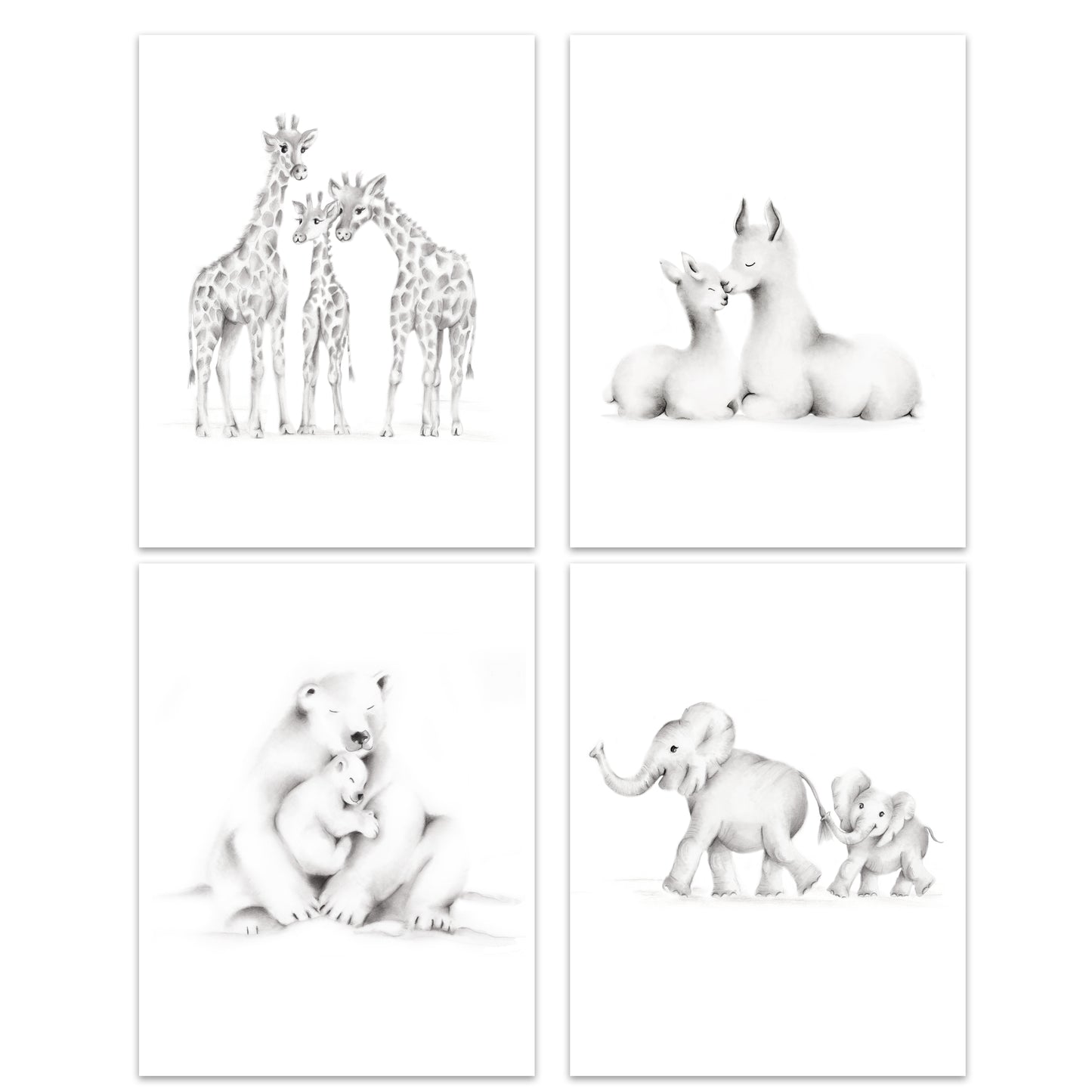 Set of 4 animal family prints drawn in pencil grey, featuring a mother and baby elephant, polar bears, llamas and giraffes - Studio Q - Art by Nicky Quartermaine Scott