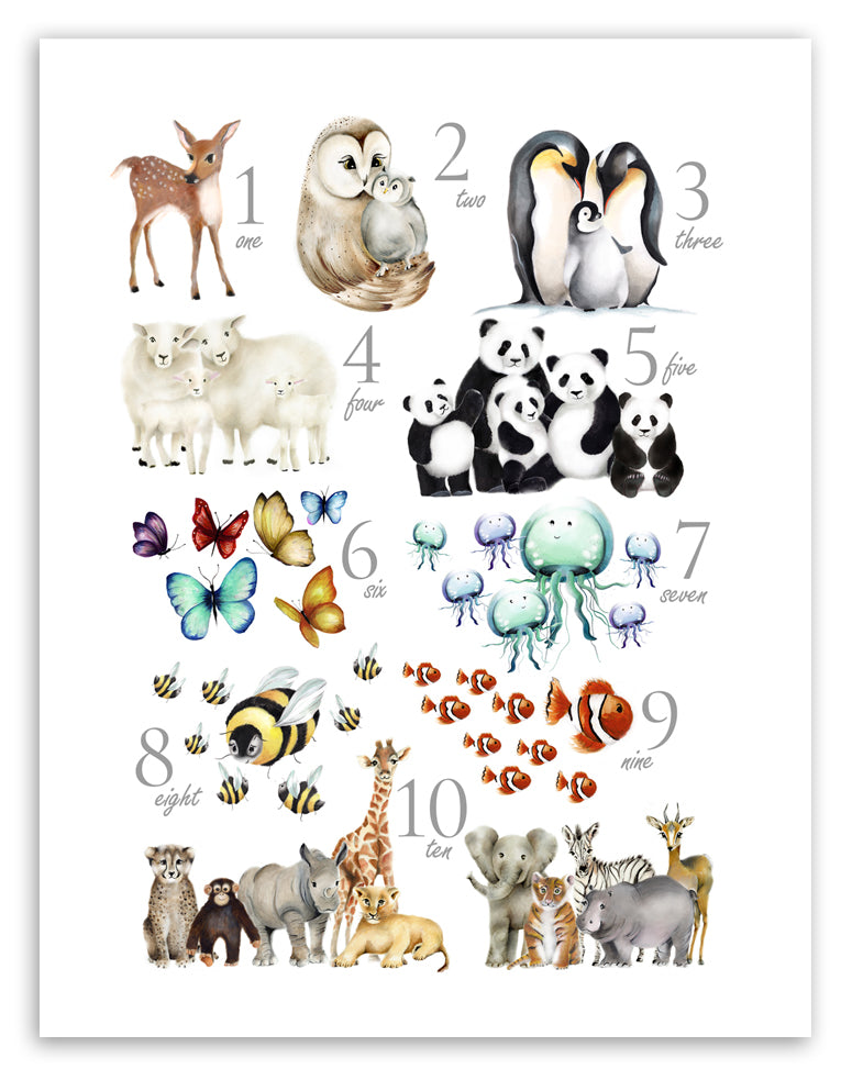 Animal Numbers Print - Studio Q - Art by Nicky Quartermaine Scott