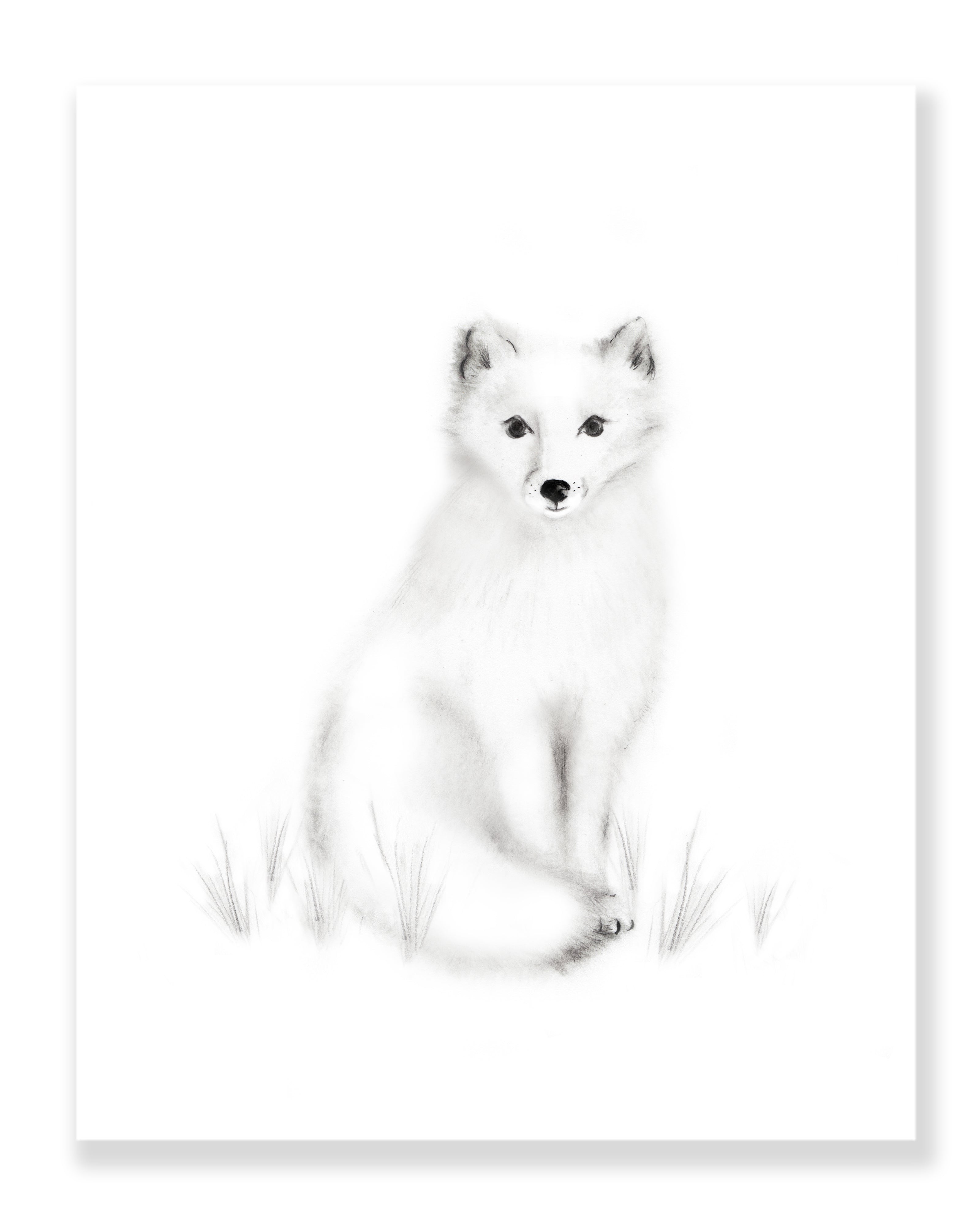 Fox Art ORIGINAL Charcoal Drawing Animal Sketch Nursery Art - Etsy