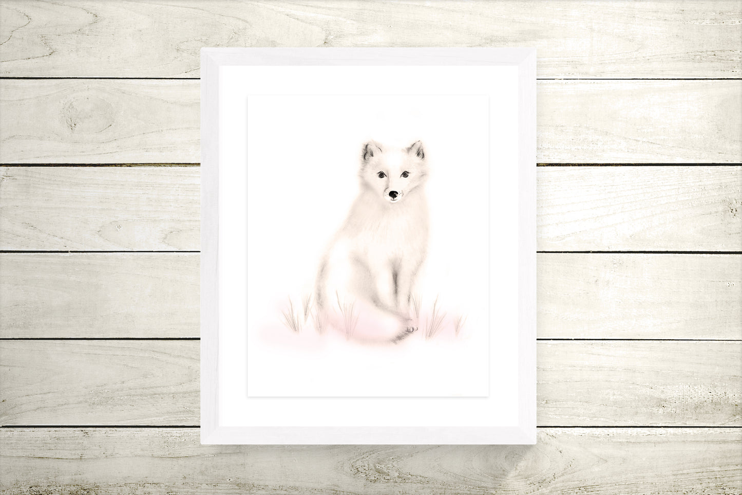 Drawing of an arctic snow fox in tones of sepia beige and blush pink on a plain, white background. The print is in a white wood frame with a white mount and is hung against a wood, shiplap backgroud. Studio Q - Art by Nicky Quartermaine Scott