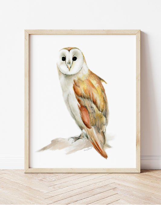 Barn Owl Painting Print - Studio Q - Art by Nicky Quartermaine Scott