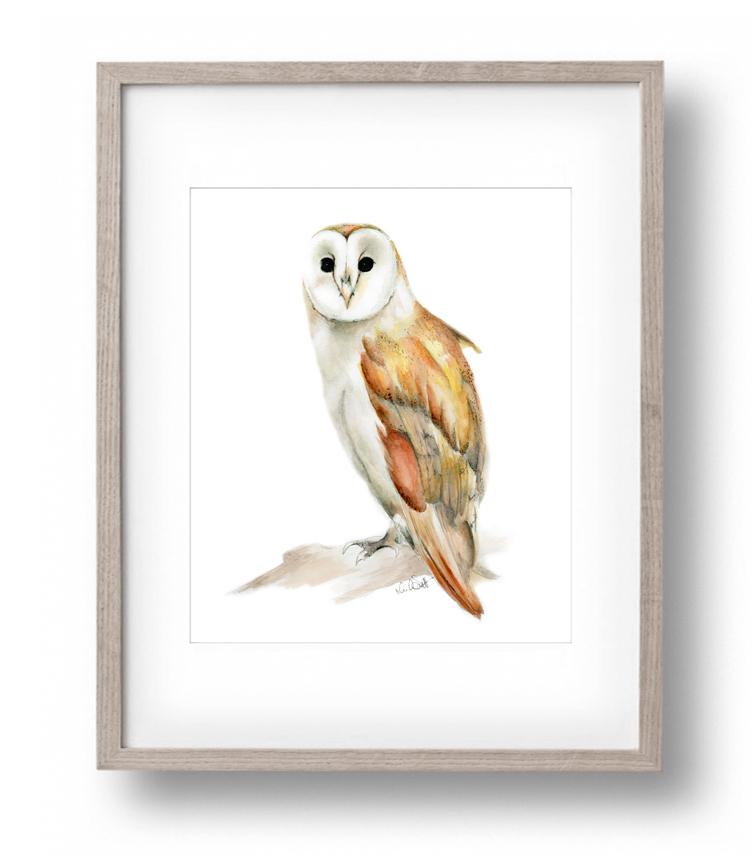 Barn Owl Print - Studio Q - Art by Nicky Quartermaine Scott
