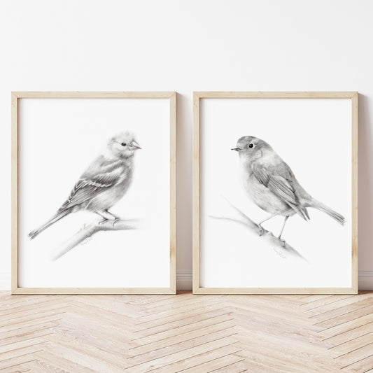 Bird Pencil Drawings - Set of 2