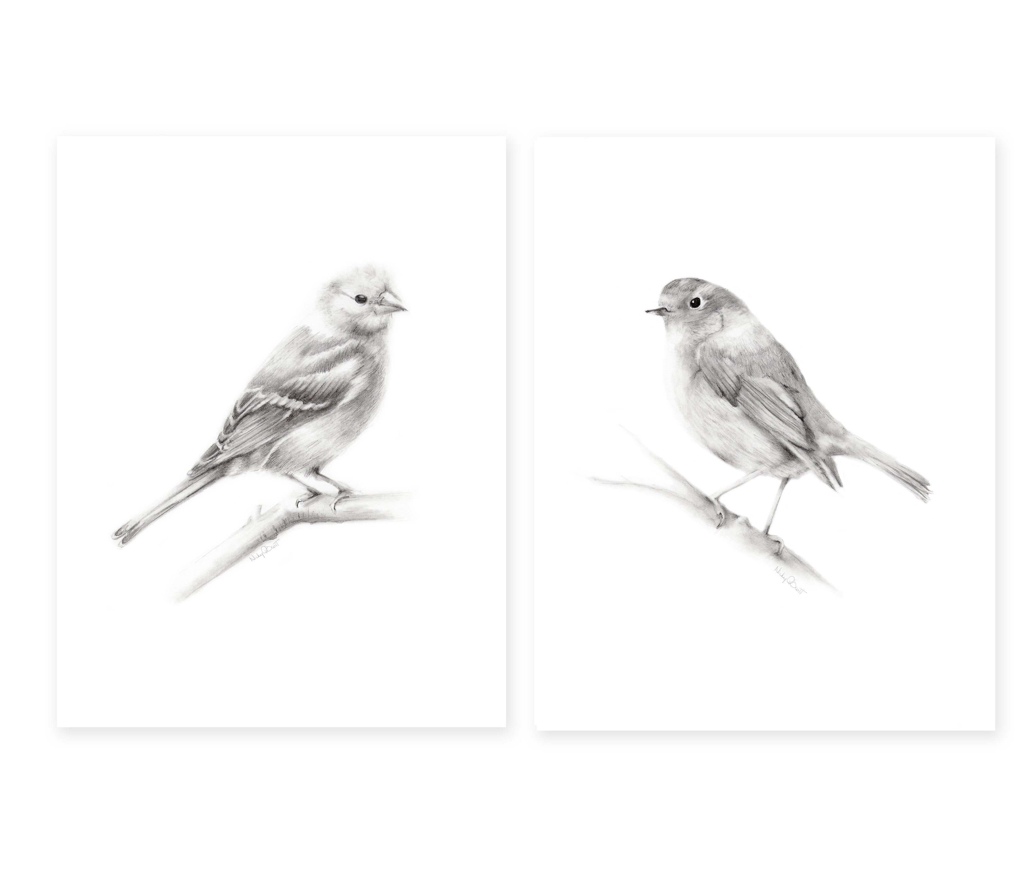Two Birds Coloring Pages Outline Sketch Drawing Vector, Bird Drawing, Wing  Drawing, Birds Drawing PNG and Vector with Transparent Background for Free  Download