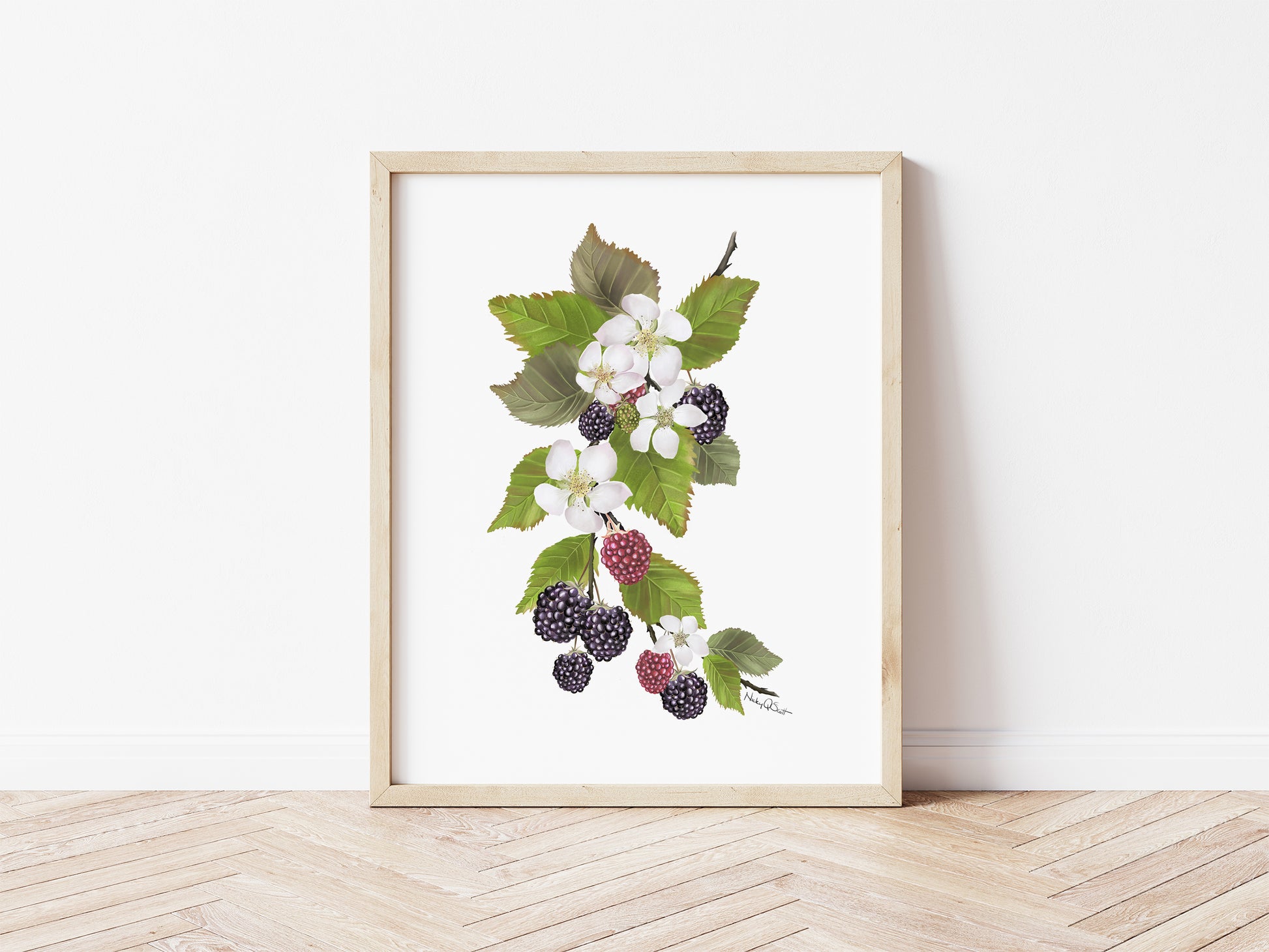 Blackberries Art Print - Studio Q - Art by Nicky Quartermaine Scott