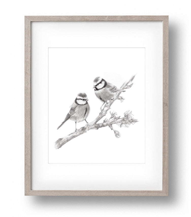 Two Birds on Branch Pencil Drawing Print - Studio Q - Art by Nicky Quartermaine Scott