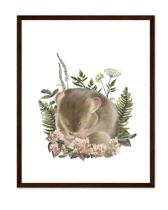 Bramble Mouse Art Print- Studio Q - Art by Nicky Quartermaine Scott