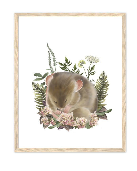 Bramble Mouse Art Print- Studio Q - Art by Nicky Quartermaine Scott