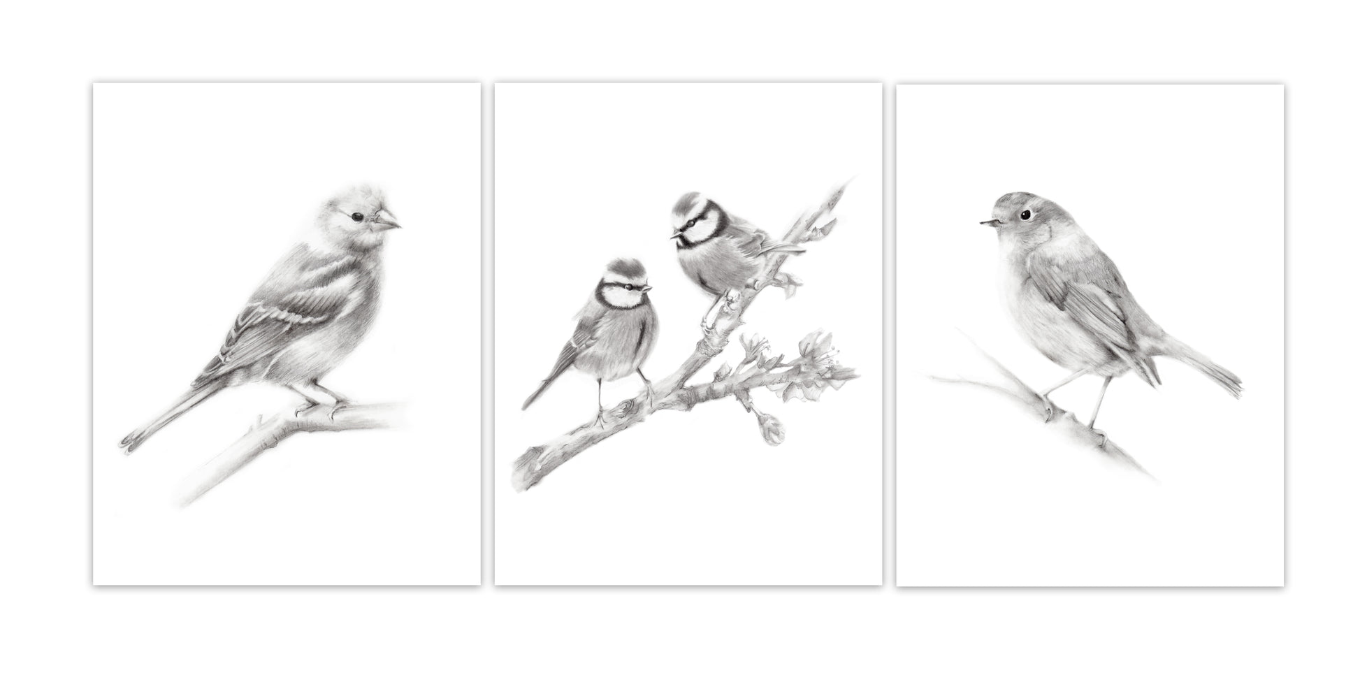 Grey Bird Art Prints - Set of 3 - Studio Q - Art by Nicky Quartermaine Scott
