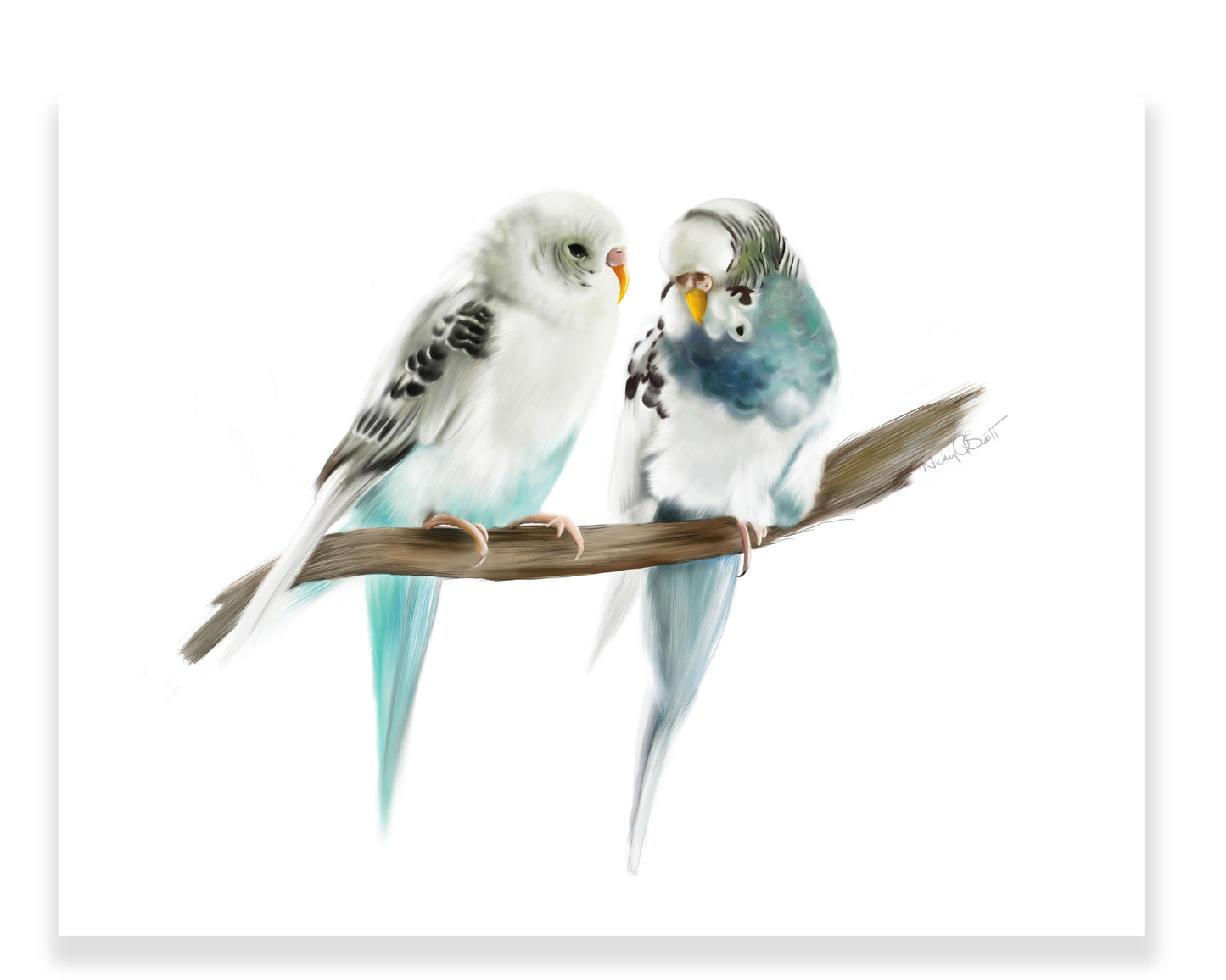 Budgie Pair Bird Art Print