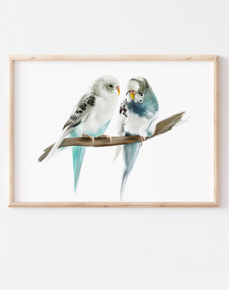 Budgie Pair Bird Art Print