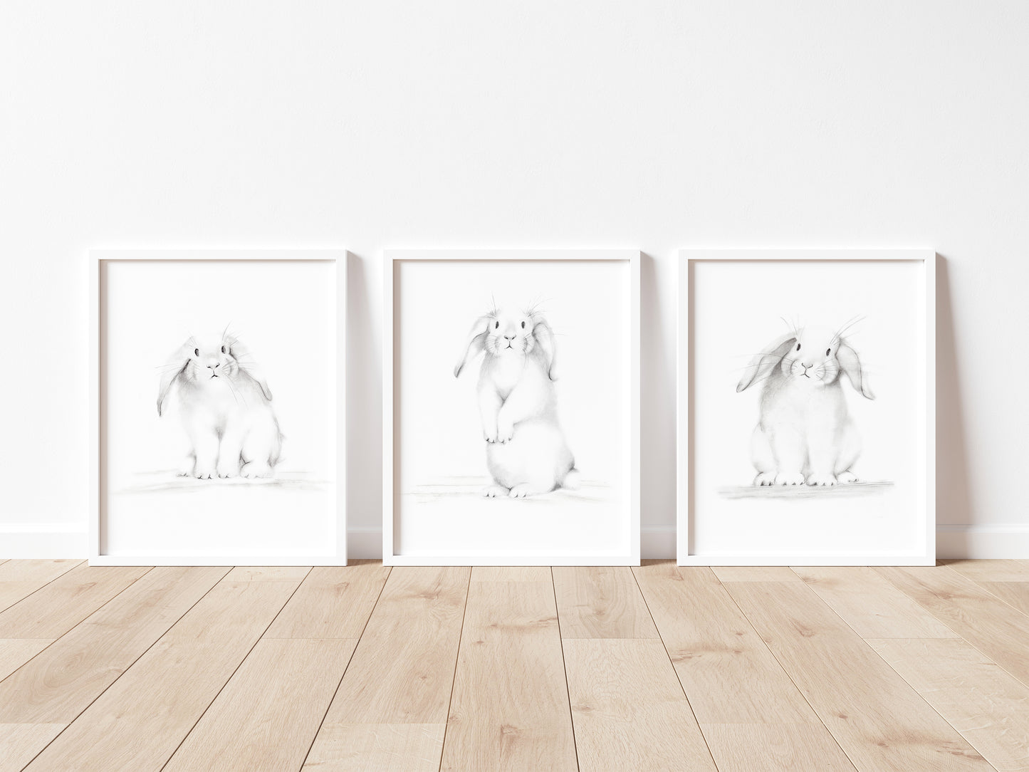 Set of 3 white bunny sketches in grey on a plain white background. Prints are mounted in white frames and sit on a wood floor - Studio Q - Art by Nicky Quartermaine Scott