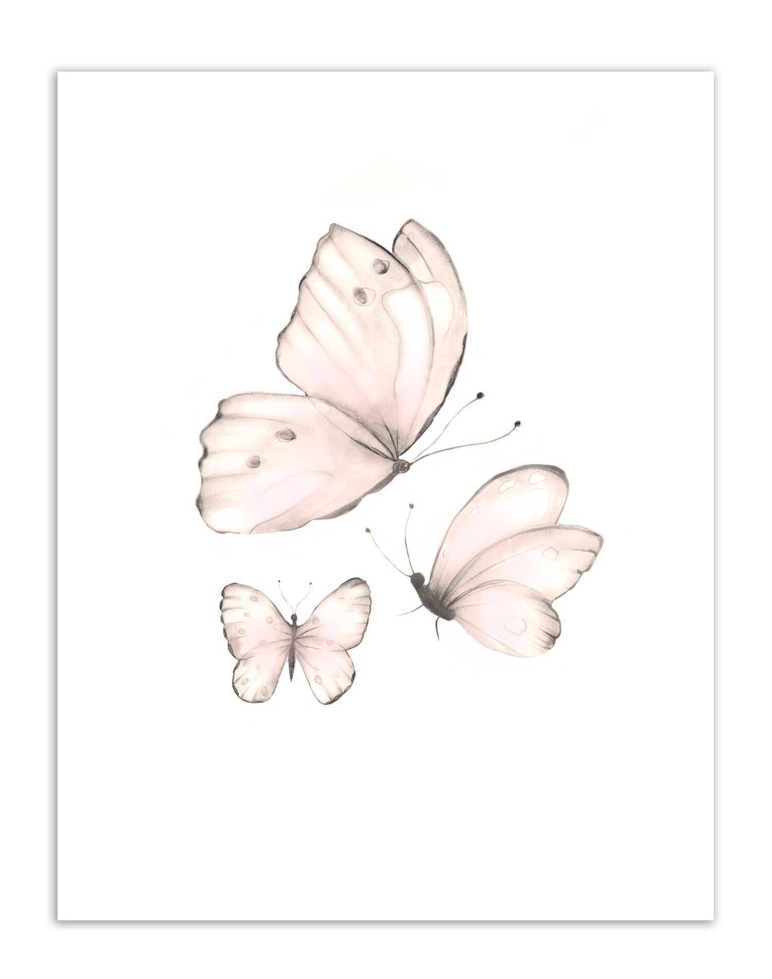 Butterflies Print 2- Sweet Blush- Studio Q - Art by Nicky Quartermaine Scott