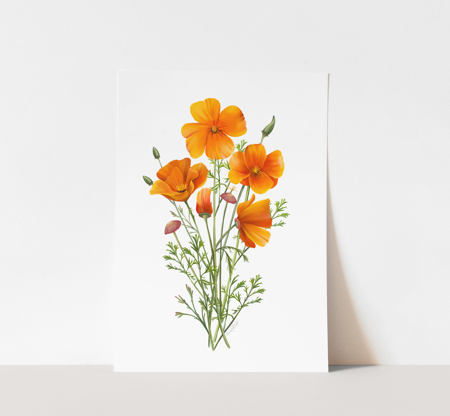 California Poppy, CA State Flower, Print reproduction artwork of pressed  flowers, 100% cotton rag paper