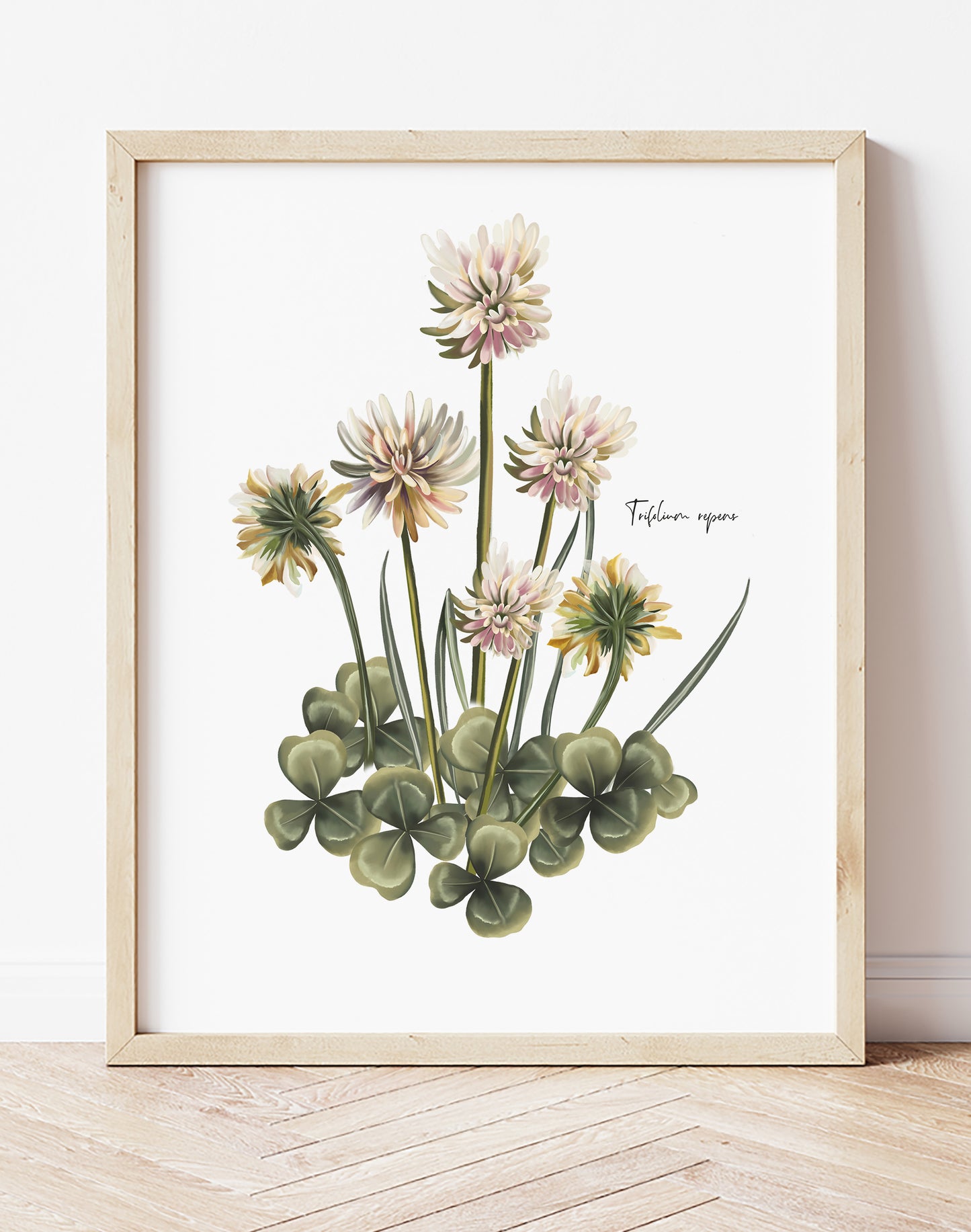 Clover Flower and Leaves Art Print - Studio Q - Art by Nicky Quartermaine Scott