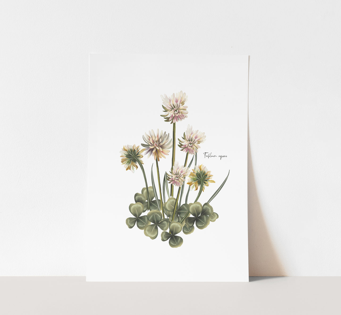 Clover Flower and Leaves Art Print - Studio Q - Art by Nicky Quartermaine Scott