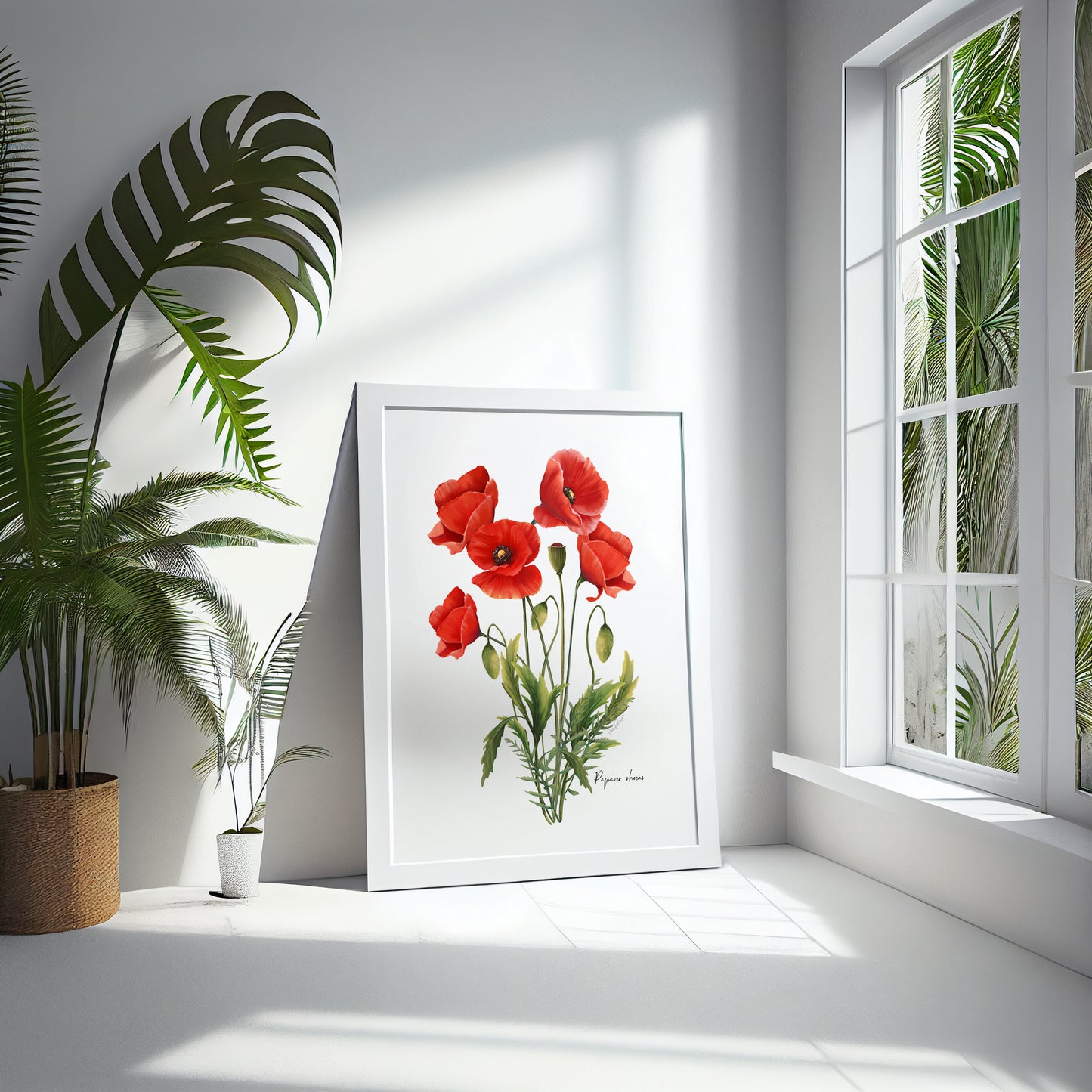Common Poppies Flower Art Print - Studio Q - Art by Nicky Quartermaine Scott