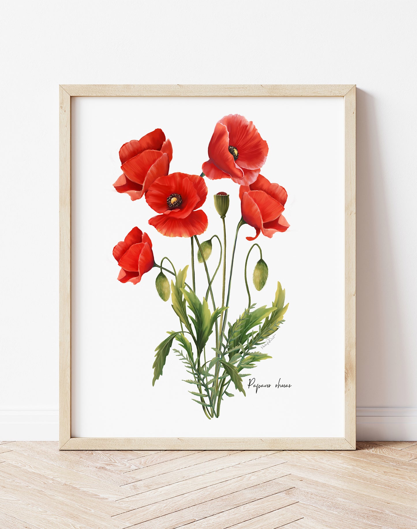 Colorful Red Poppies Flower Fine Art Print - Studio Q - Art by Nicky Quartermaine Scott
